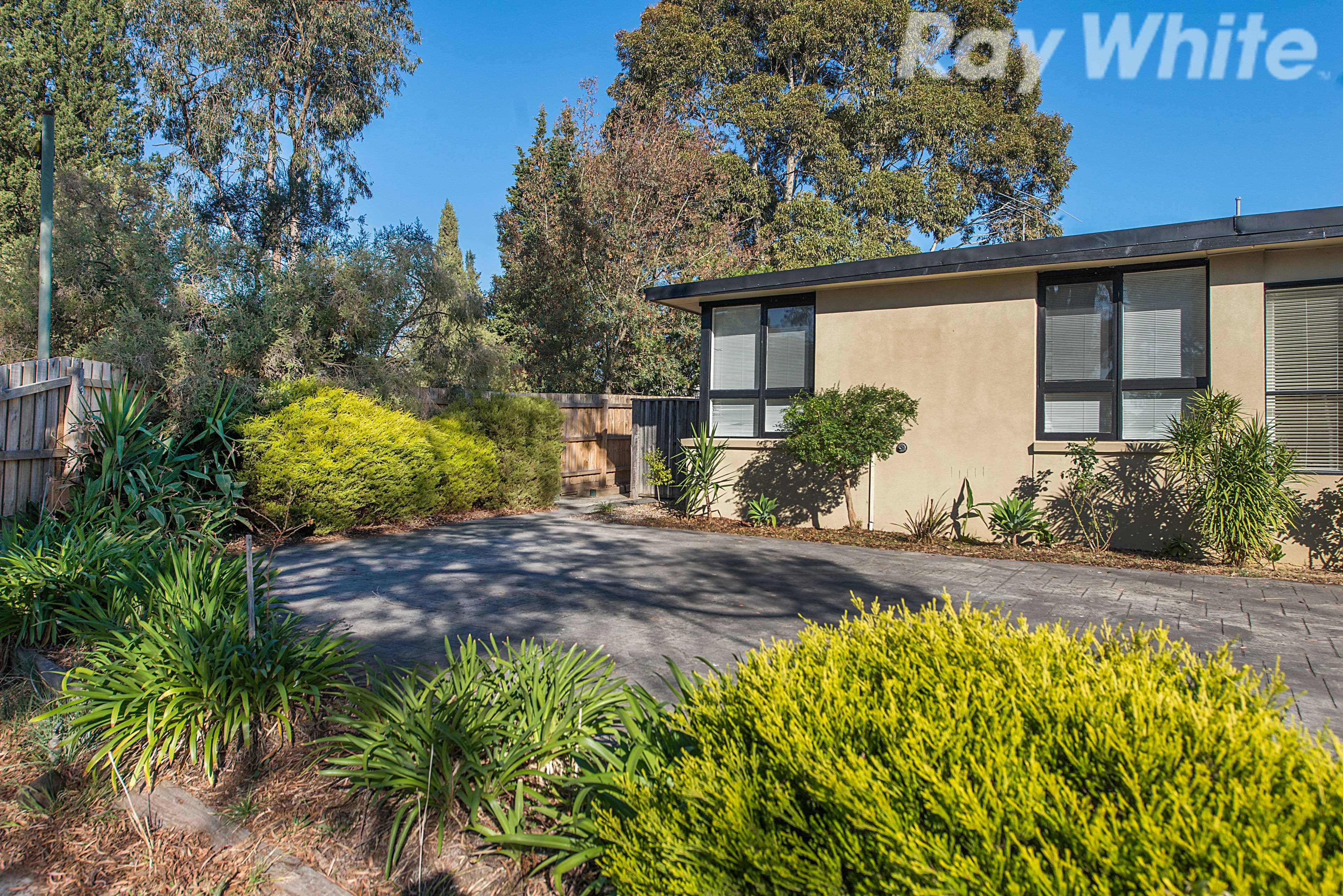 4 Central Avenue, Bayswater North VIC 3153, Bayswater North - Thumbnail 8