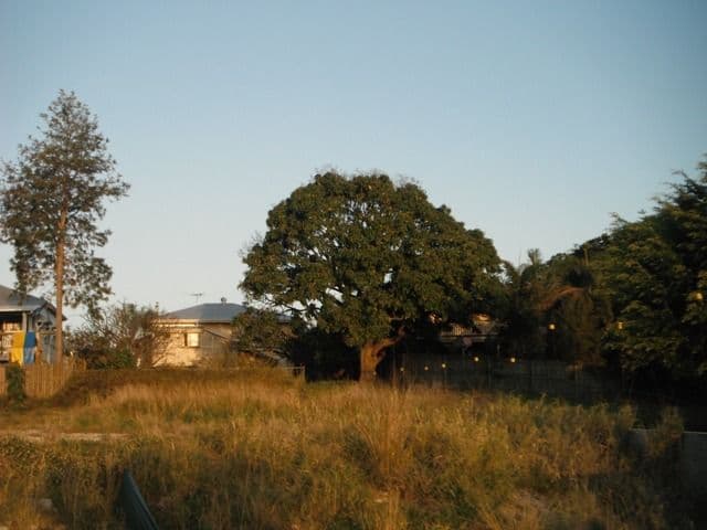 53 Gorman Street, WOOLOOWIN QLD 4030, Wooloowin - Thumbnail 5