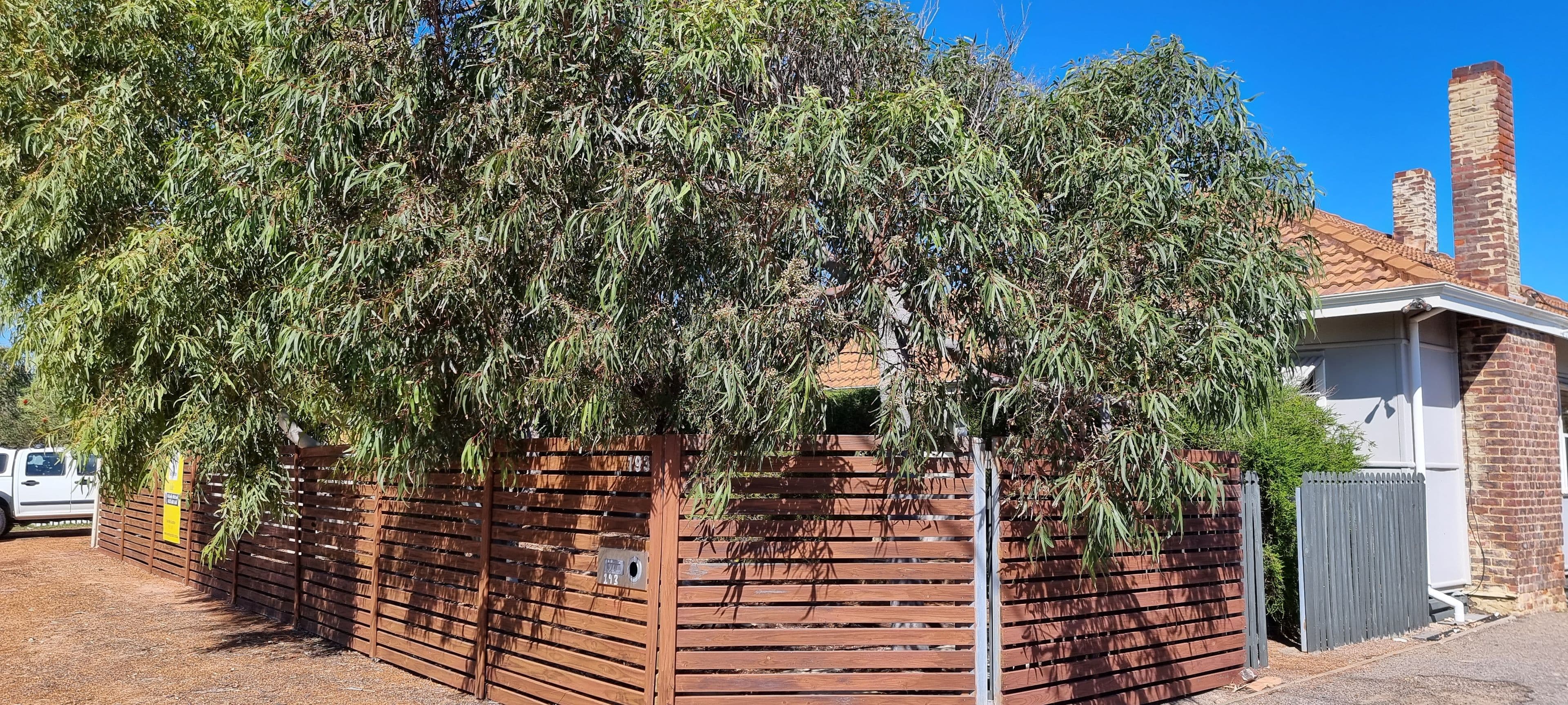 193 Shenton Street, Beachlands WA 6530, Beachlands - Image 1