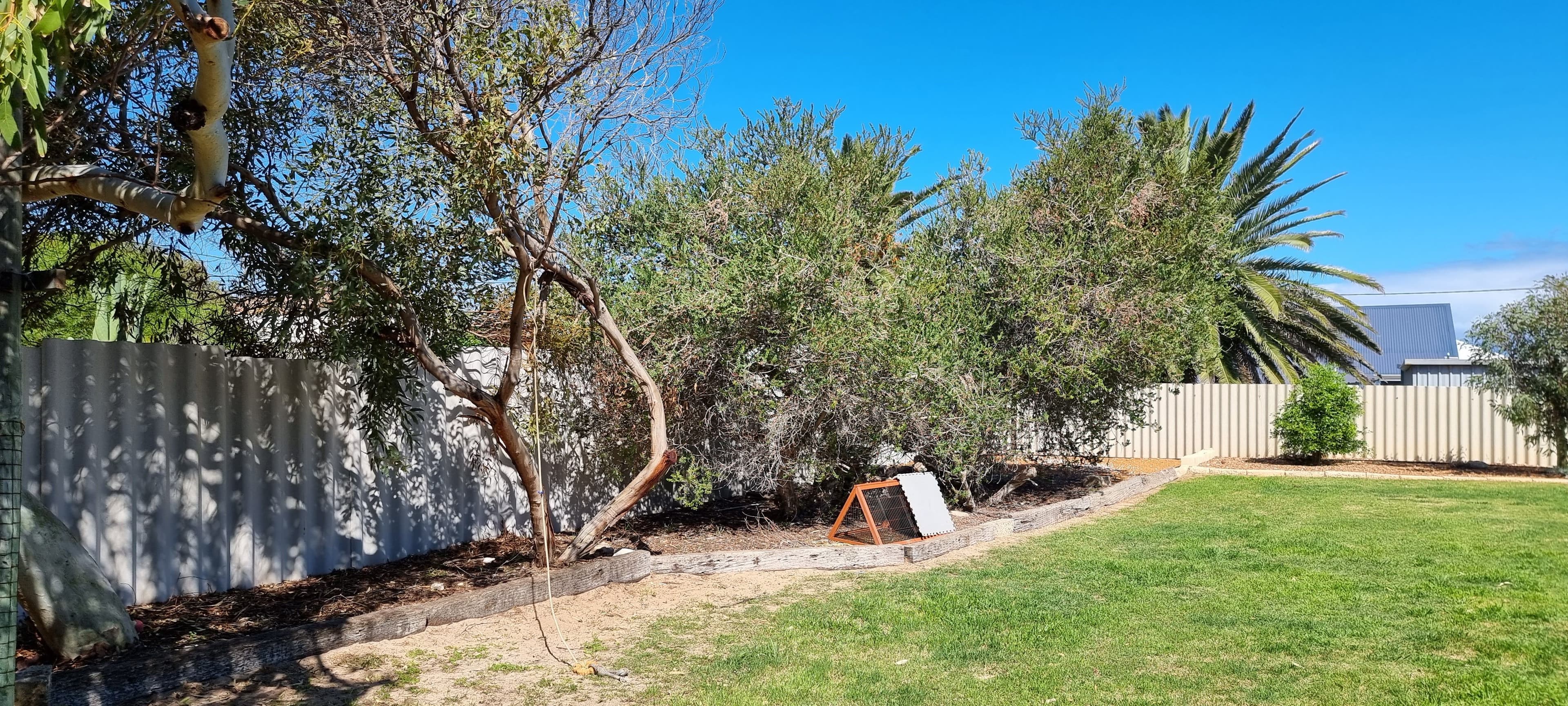 193 Shenton Street, Beachlands WA 6530, Beachlands - Thumbnail 5