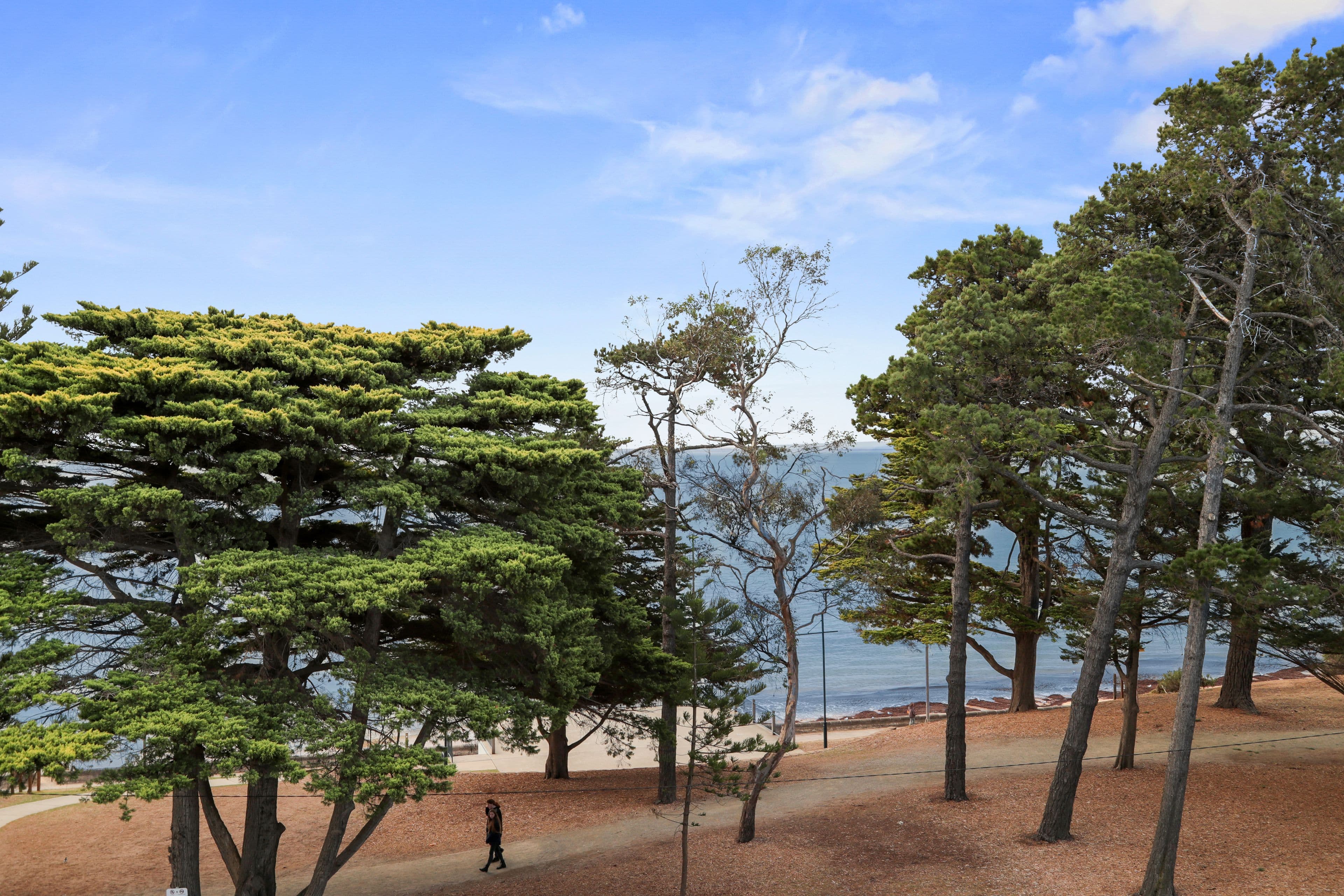 4 The Esplanade, Cowes VIC 3922, Cowes - Thumbnail 3
