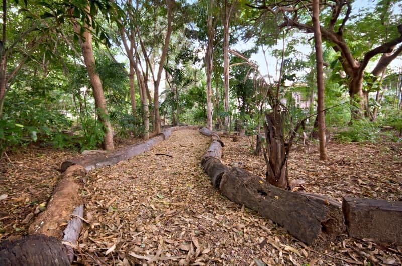 6 Second Avenue, RAILWAY ESTATE QLD 4810, Railway Estate - Thumbnail 7