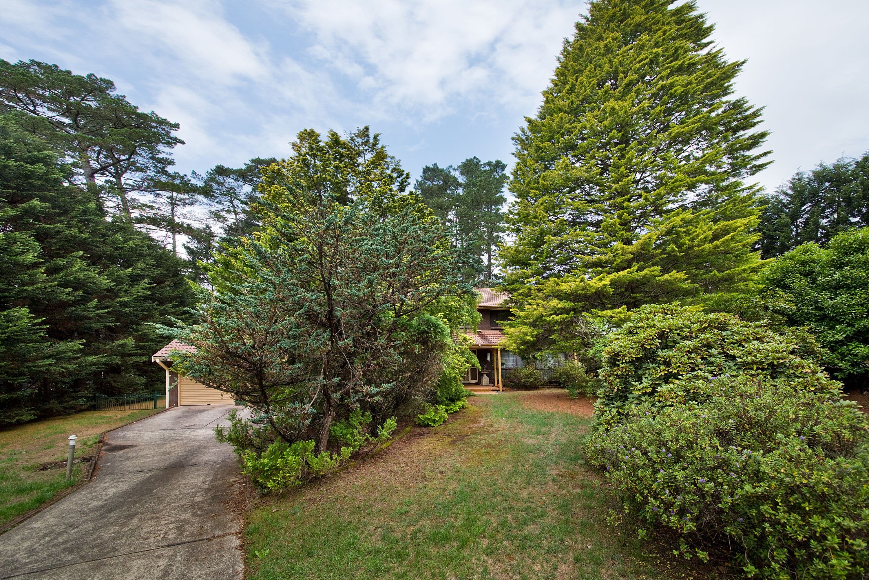 25-27 Jubilee Avenue, Blackheath NSW 2785, Blackheath - Thumbnail 8