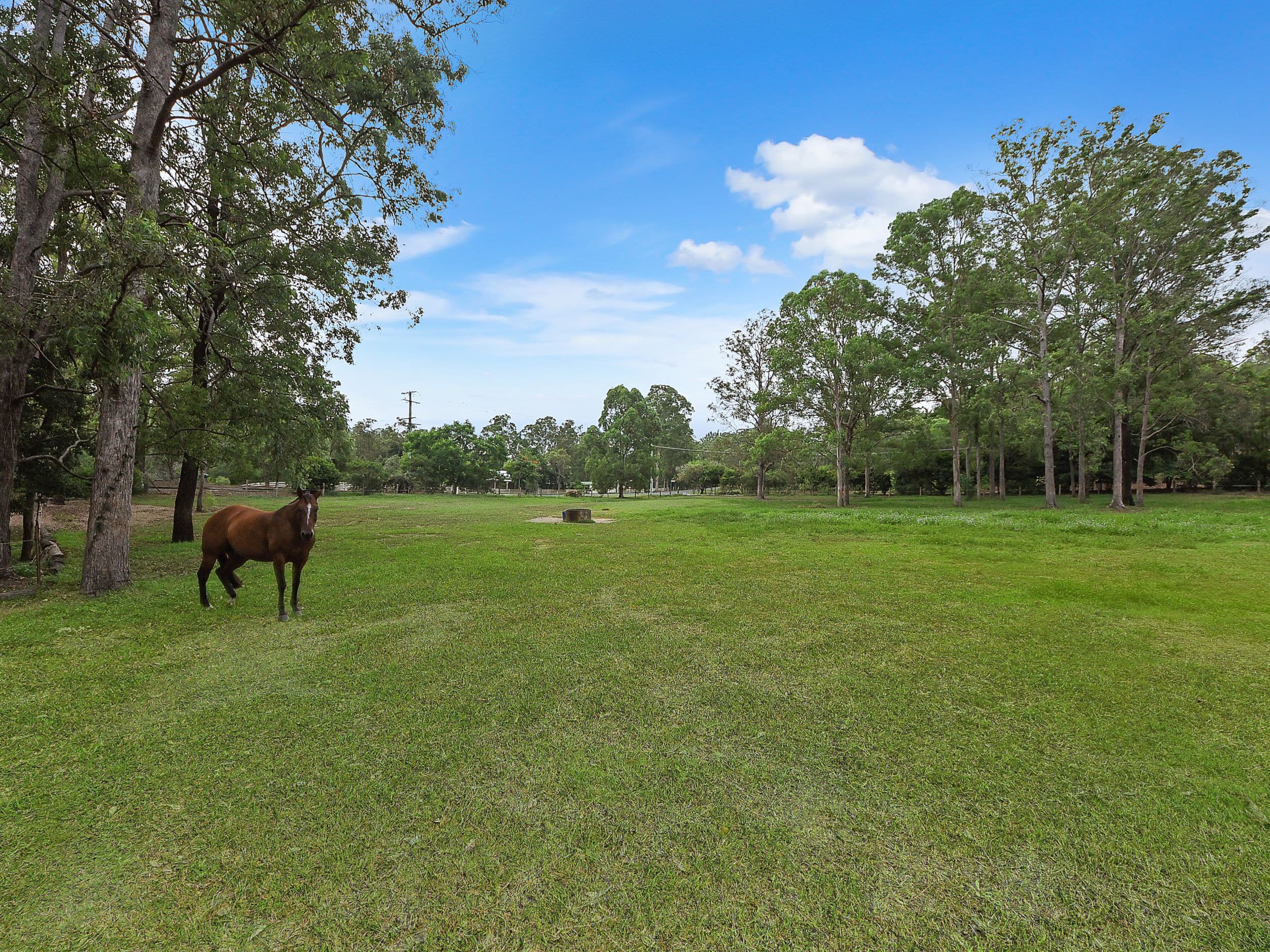 93 Lergessner Road, Draper QLD 4520, Draper - Image 1