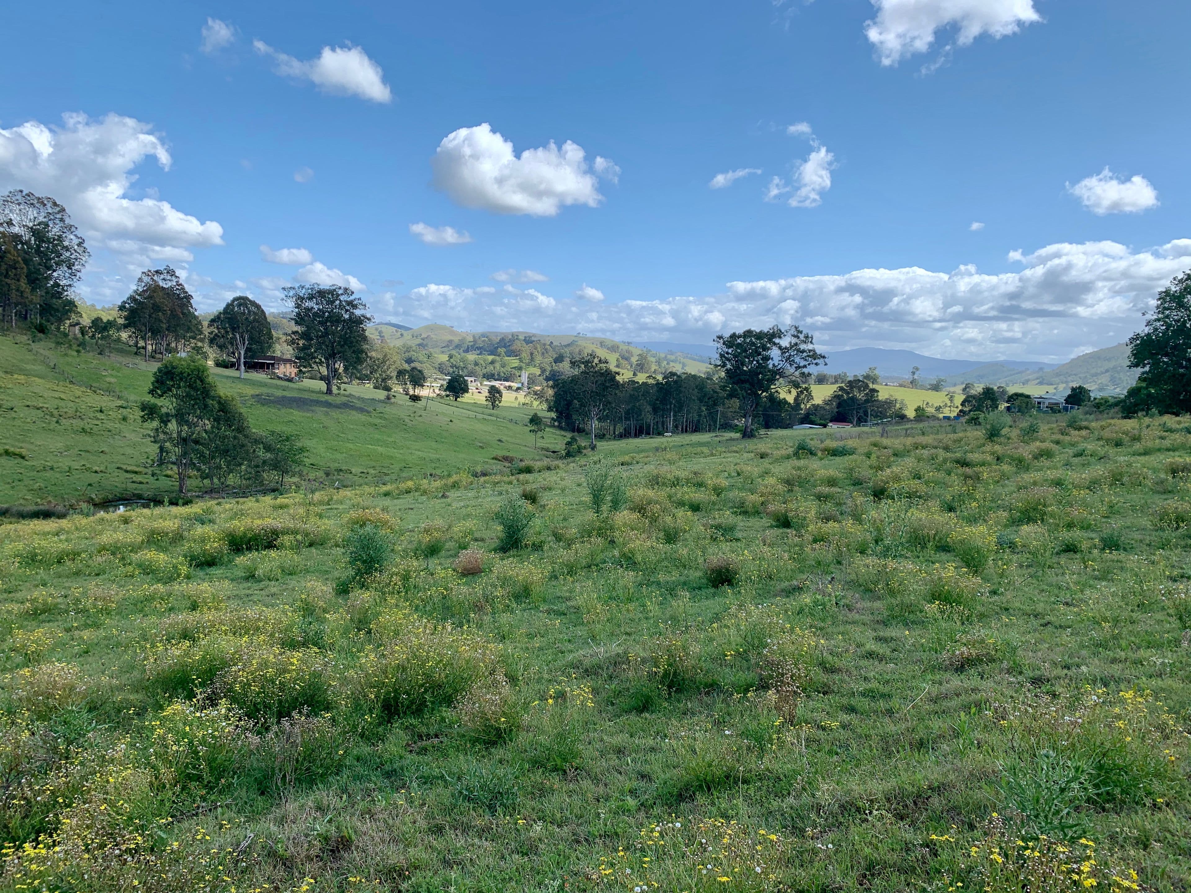 Lot 188 Mackay Street, Dungog NSW 2420, Dungog - Image 1
