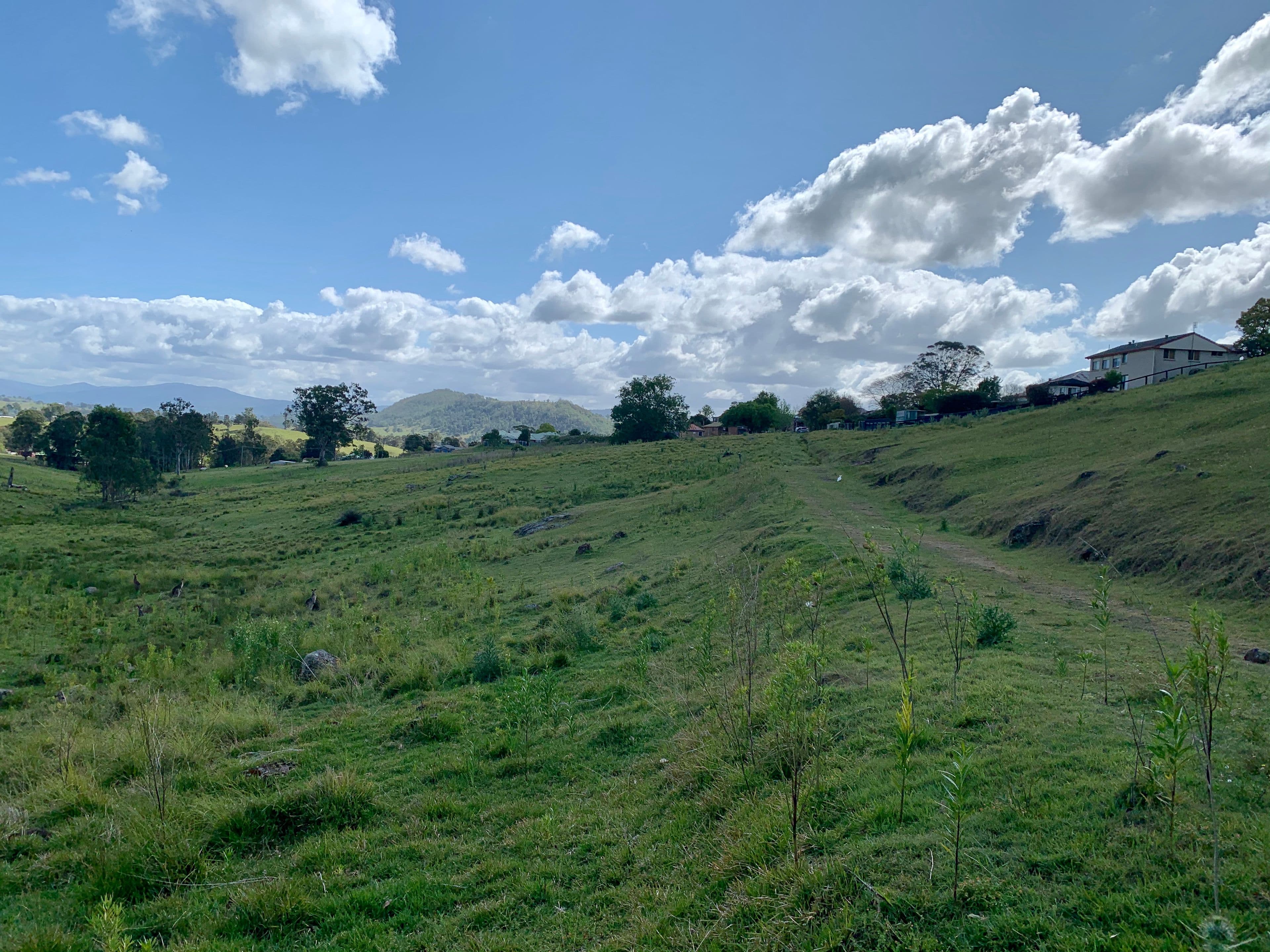 Lot 188 Mackay Street, Dungog NSW 2420, Dungog - Thumbnail 2