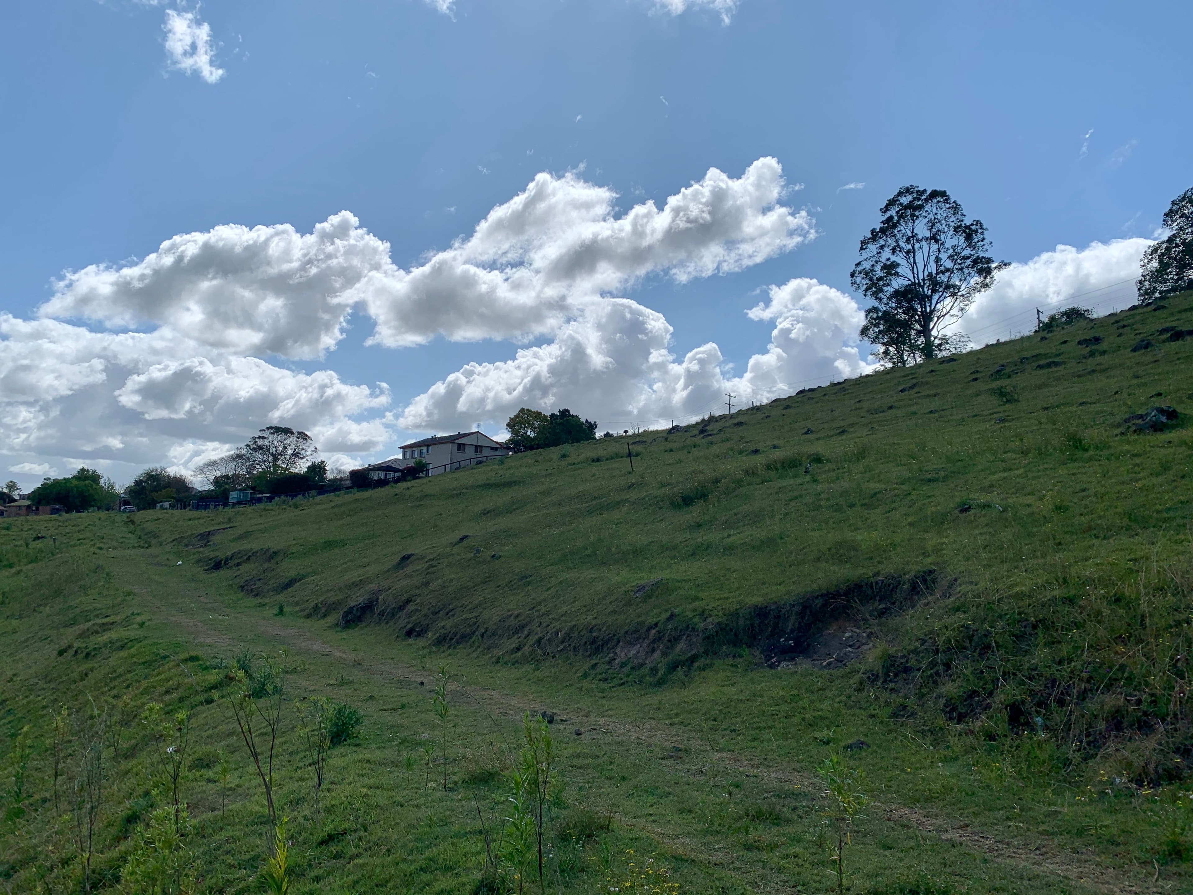 Lot 188 Mackay Street, Dungog NSW 2420, Dungog - Thumbnail 3