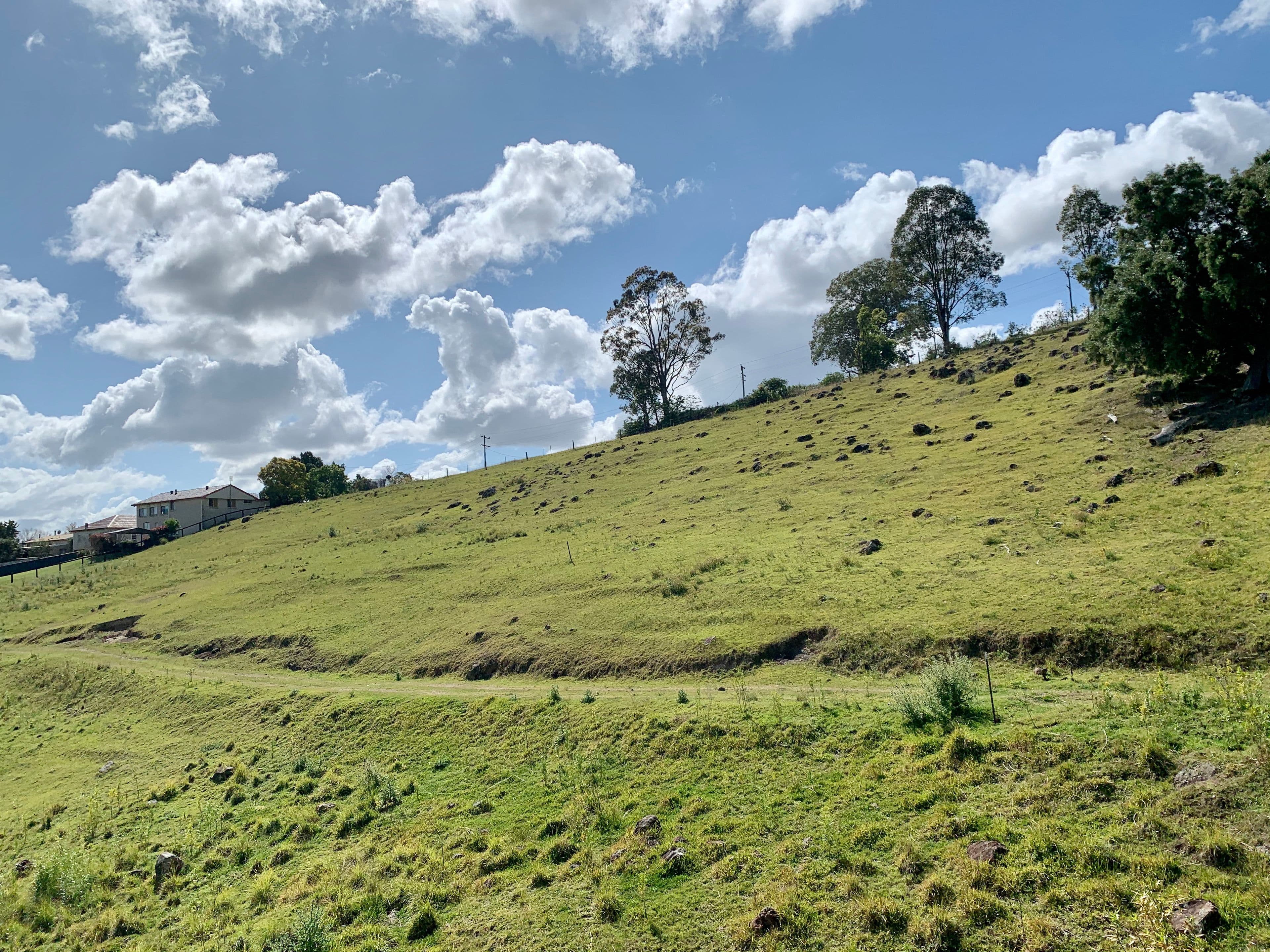 Lot 188 Mackay Street, Dungog NSW 2420, Dungog - Thumbnail 4
