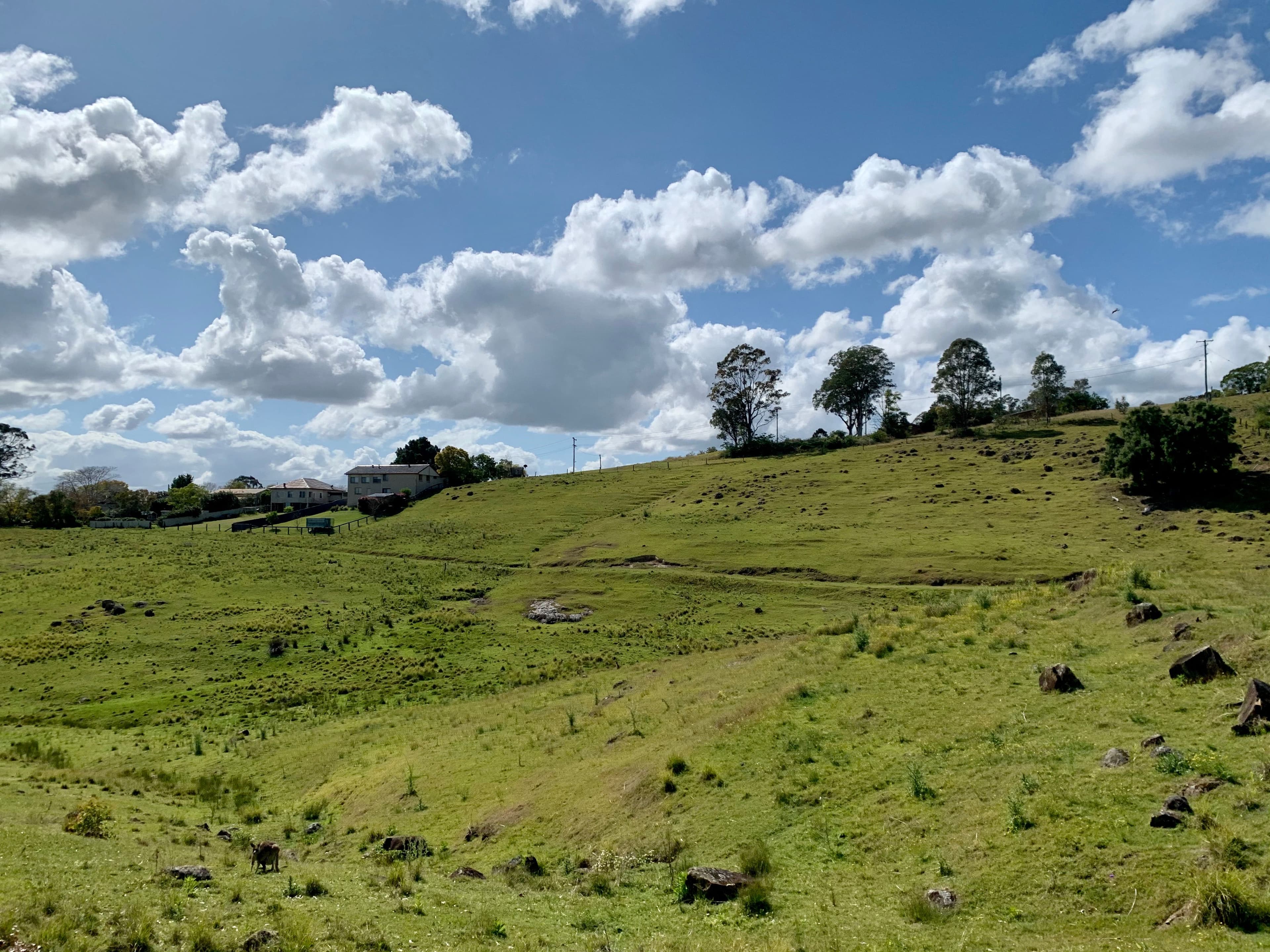 Lot 188 Mackay Street, Dungog NSW 2420, Dungog - Thumbnail 5