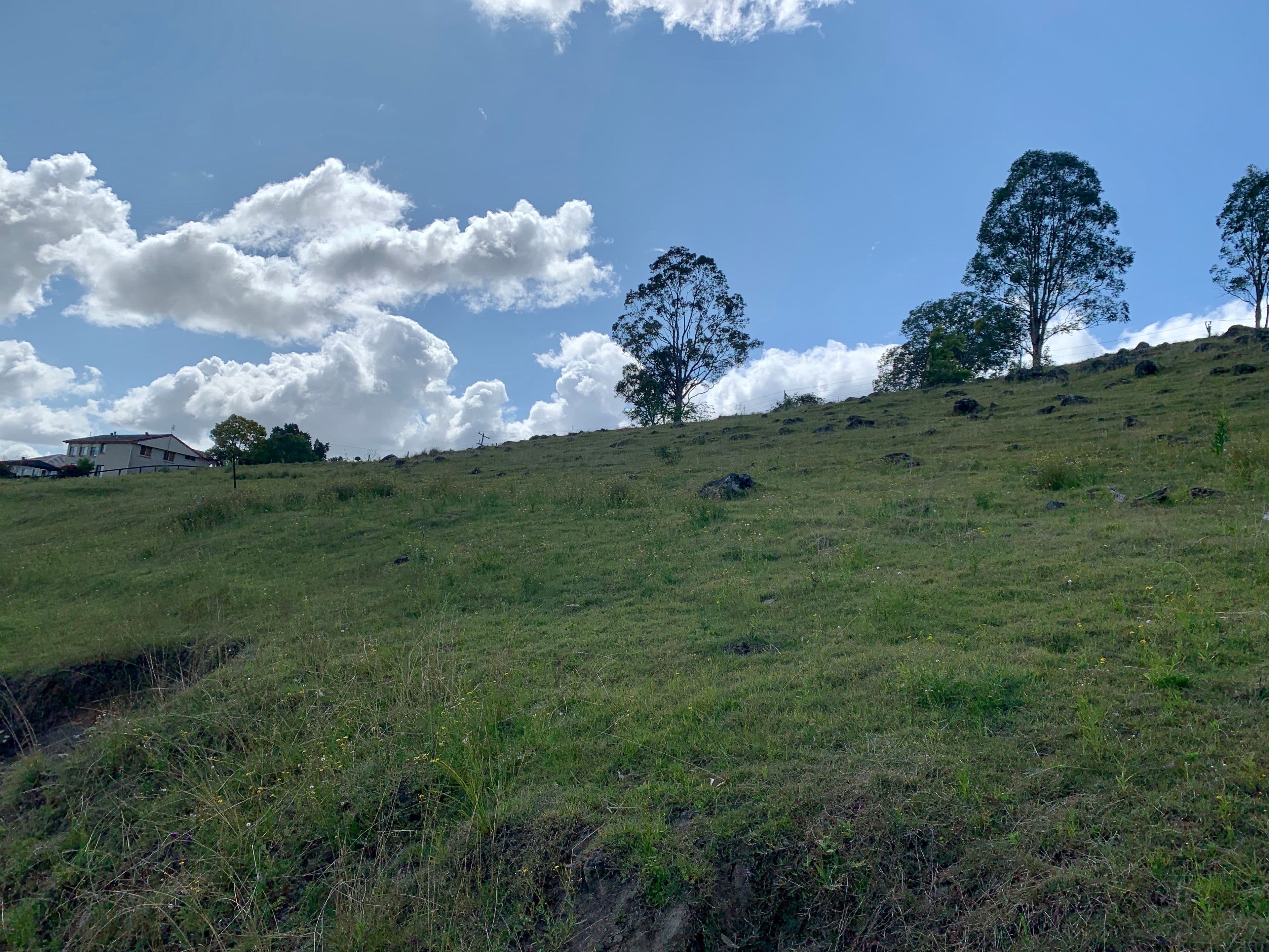 Lot 188 Mackay Street, Dungog NSW 2420, Dungog - Thumbnail 6