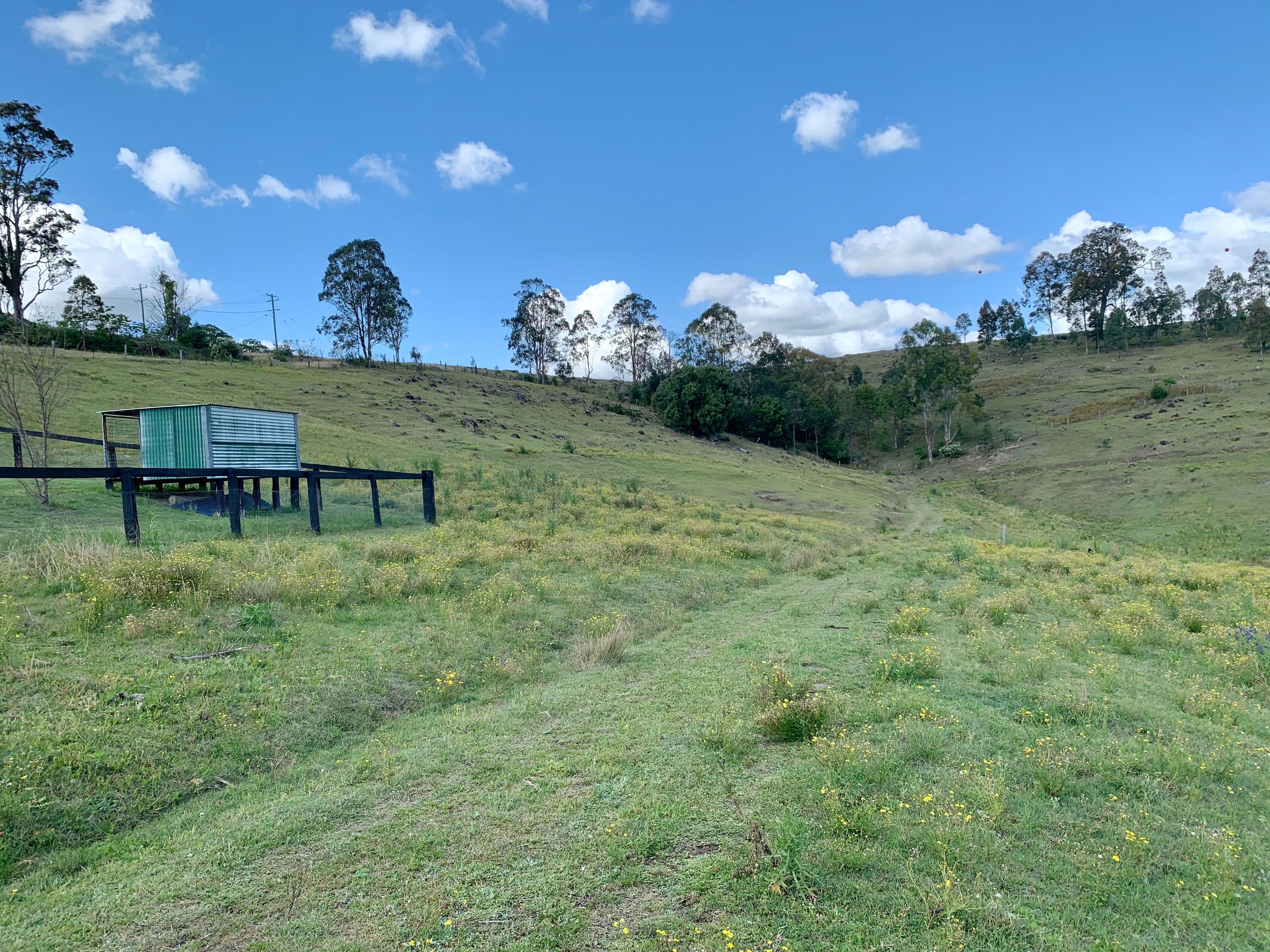Lot 188 Mackay Street, Dungog NSW 2420, Dungog - Thumbnail 7