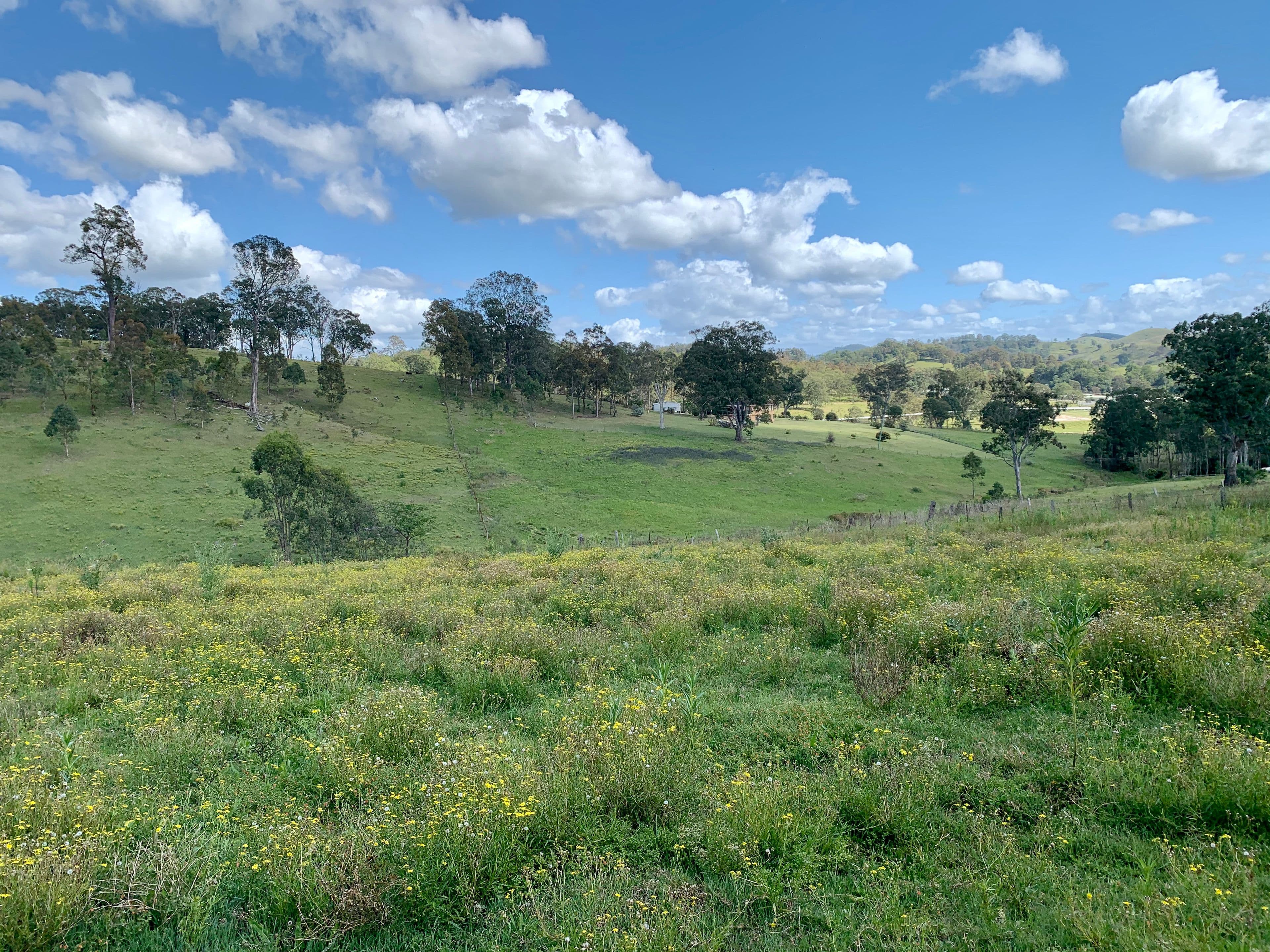 Lot 188 Mackay Street, Dungog NSW 2420, Dungog - Thumbnail 8