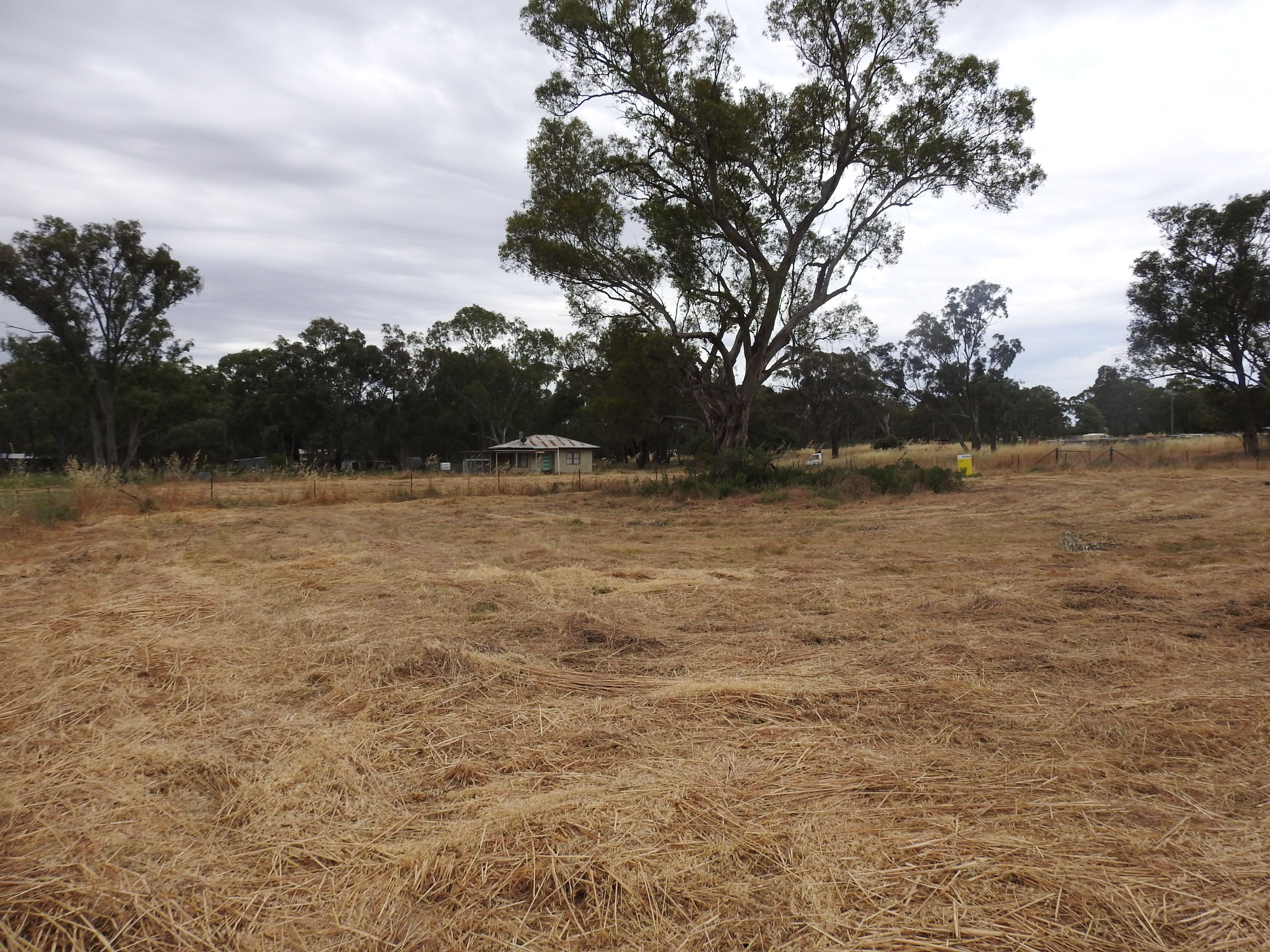 24 Monteagle Stock Route Road, Monteagle NSW 2594, Monteagle - Thumbnail 2