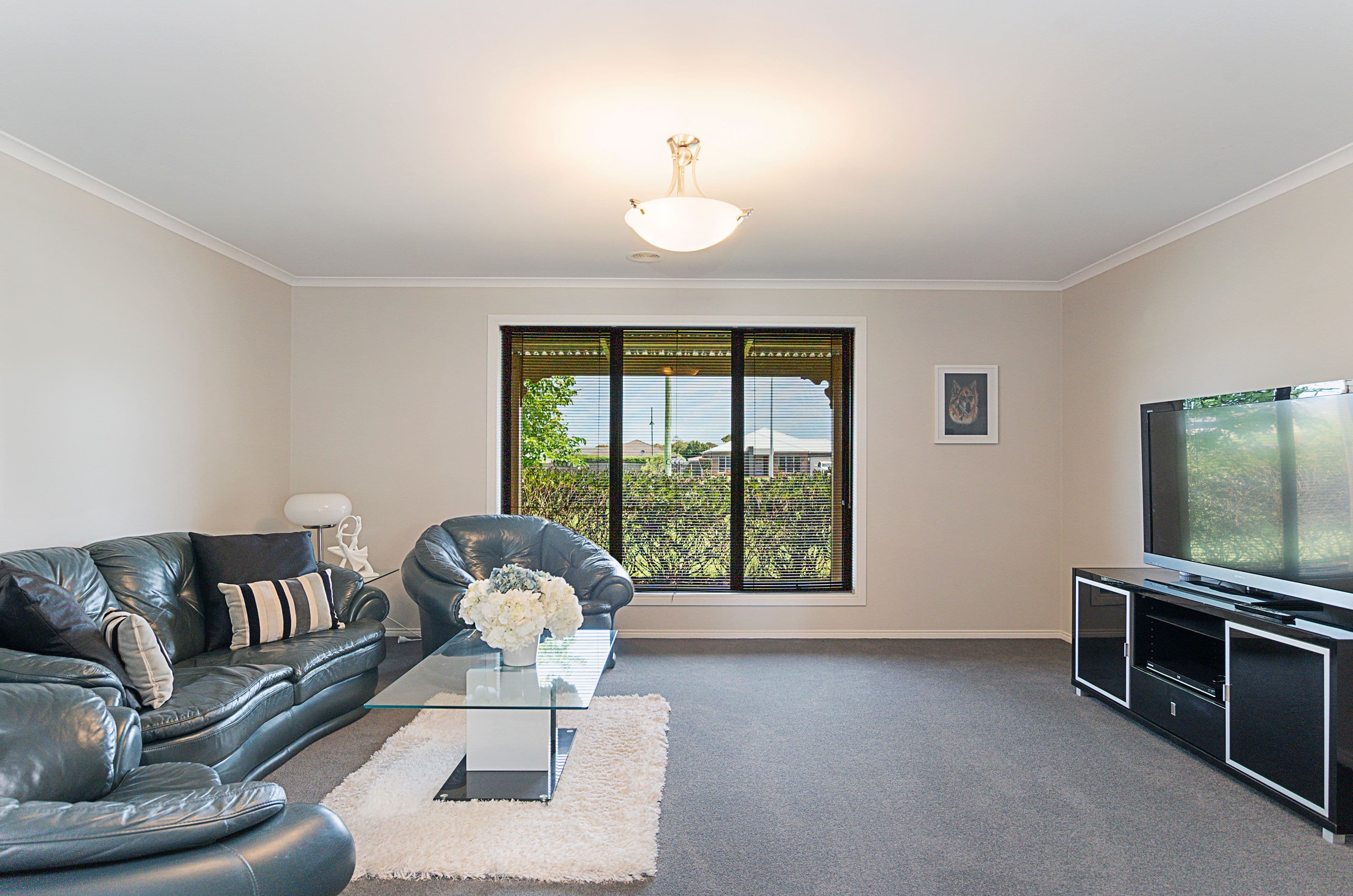 41 Wangoom Road, Warrnambool VIC 3280, Warrnambool - Thumbnail 5
