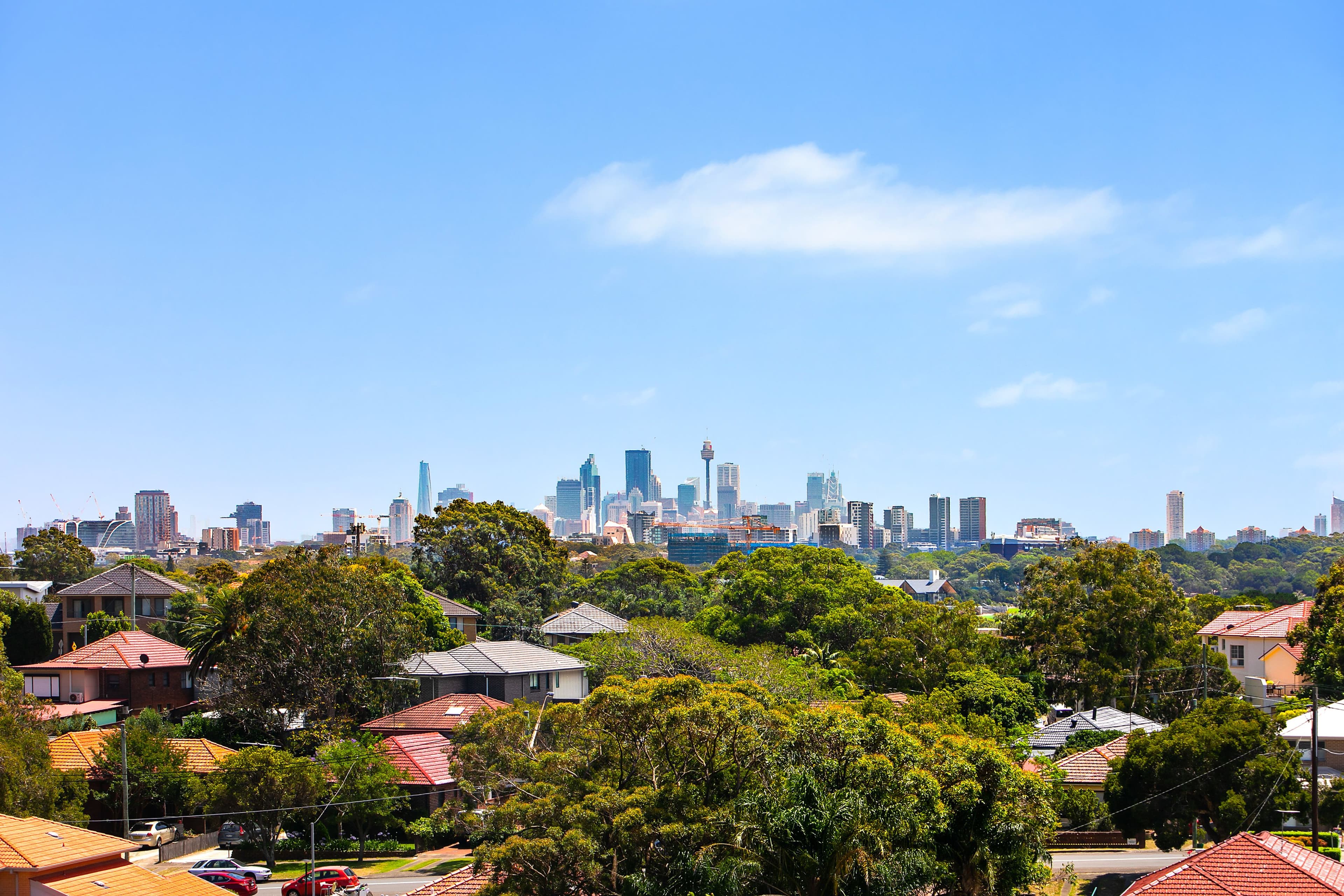 55 Holloway Street, Pagewood NSW 2035, Pagewood - Thumbnail 6