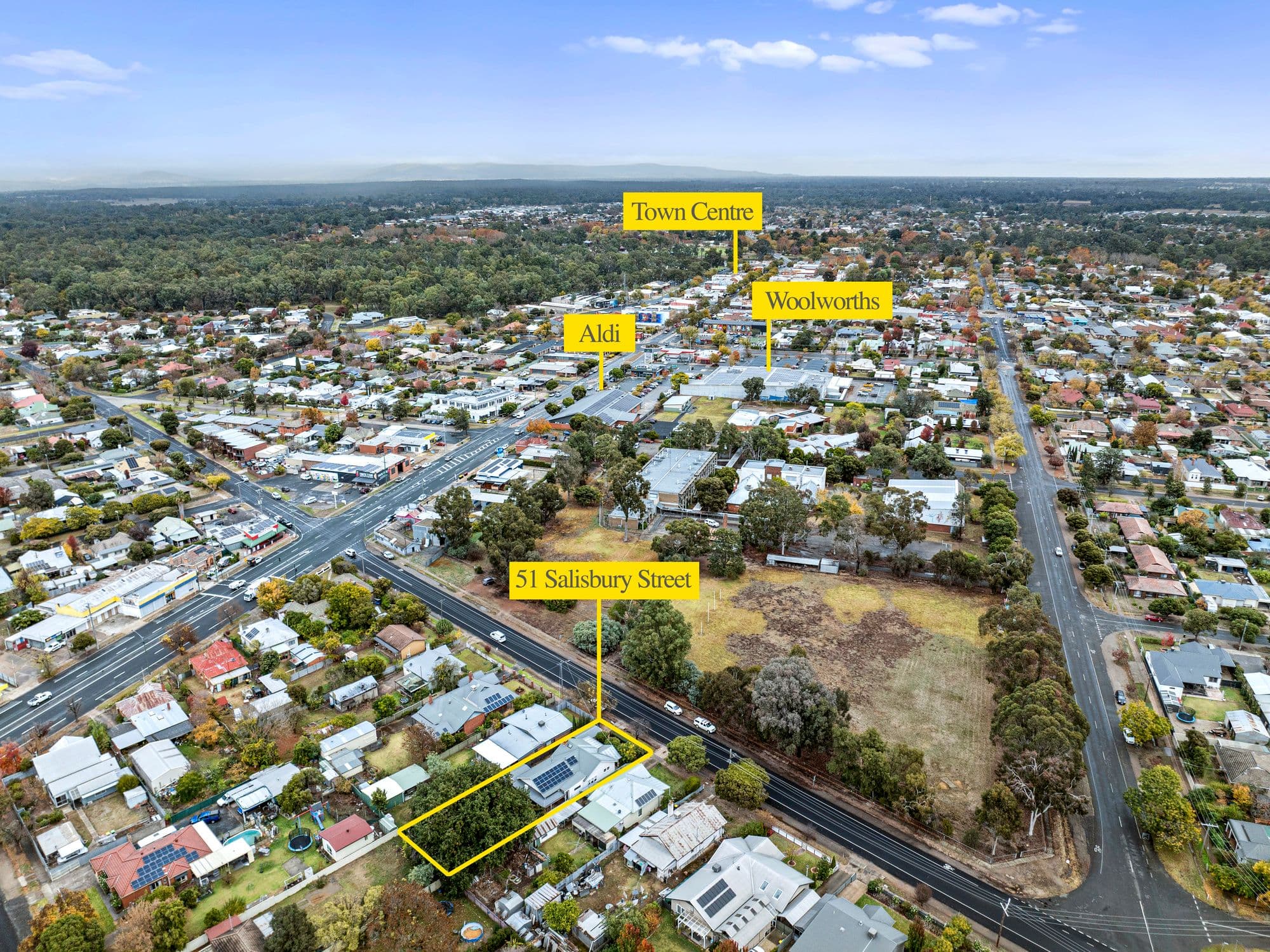 51 Salisbury Street, Benalla VIC 3672, Benalla - Thumbnail 3