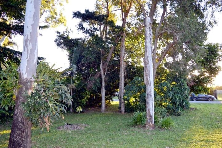 16 Kennedy Esplanade, SOUTH MISSION QLD 4852, South Mission Beach - Thumbnail 5