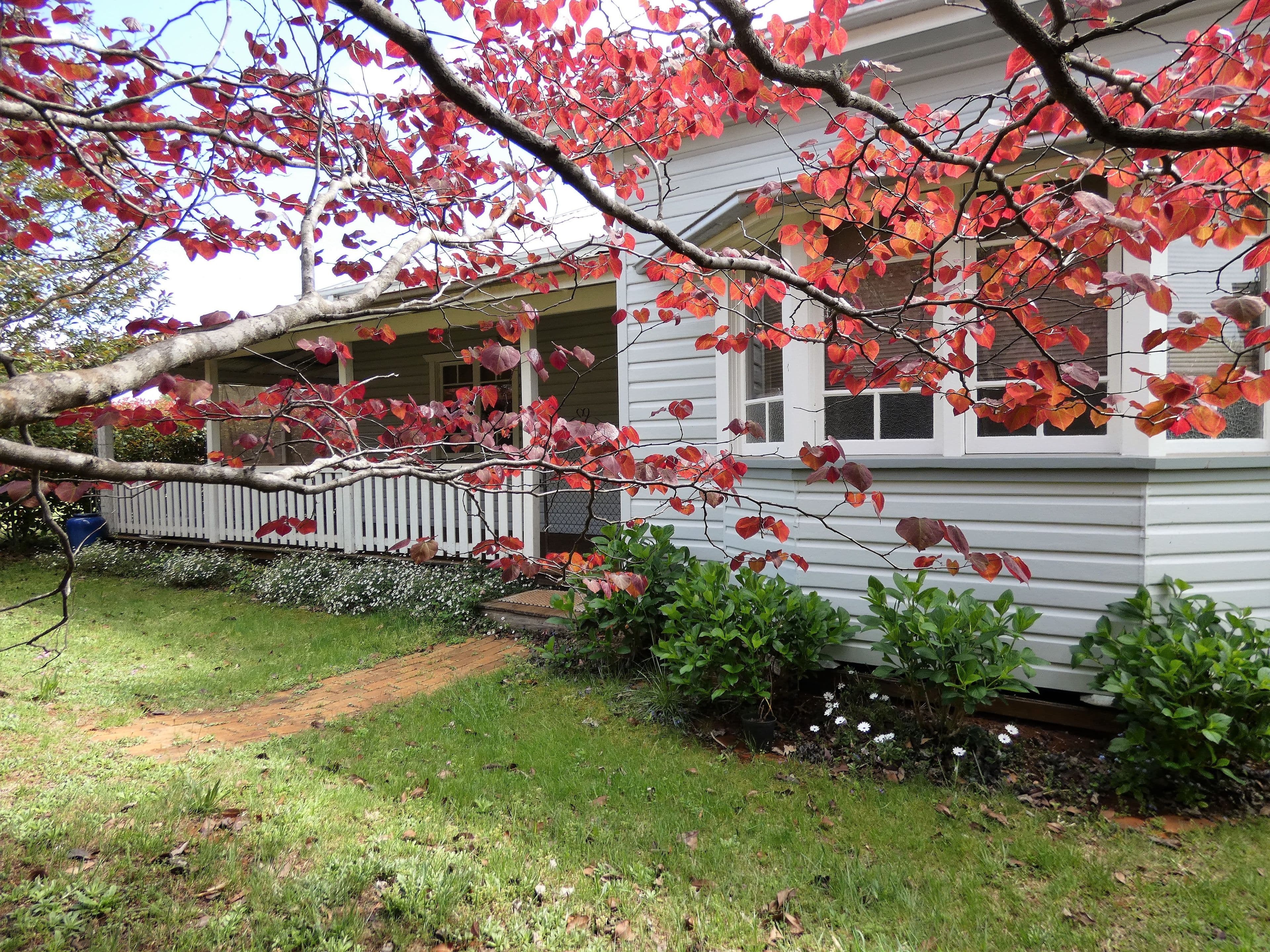 646 Tyringham Road, Dorrigo NSW 2453, Dorrigo - Thumbnail 6