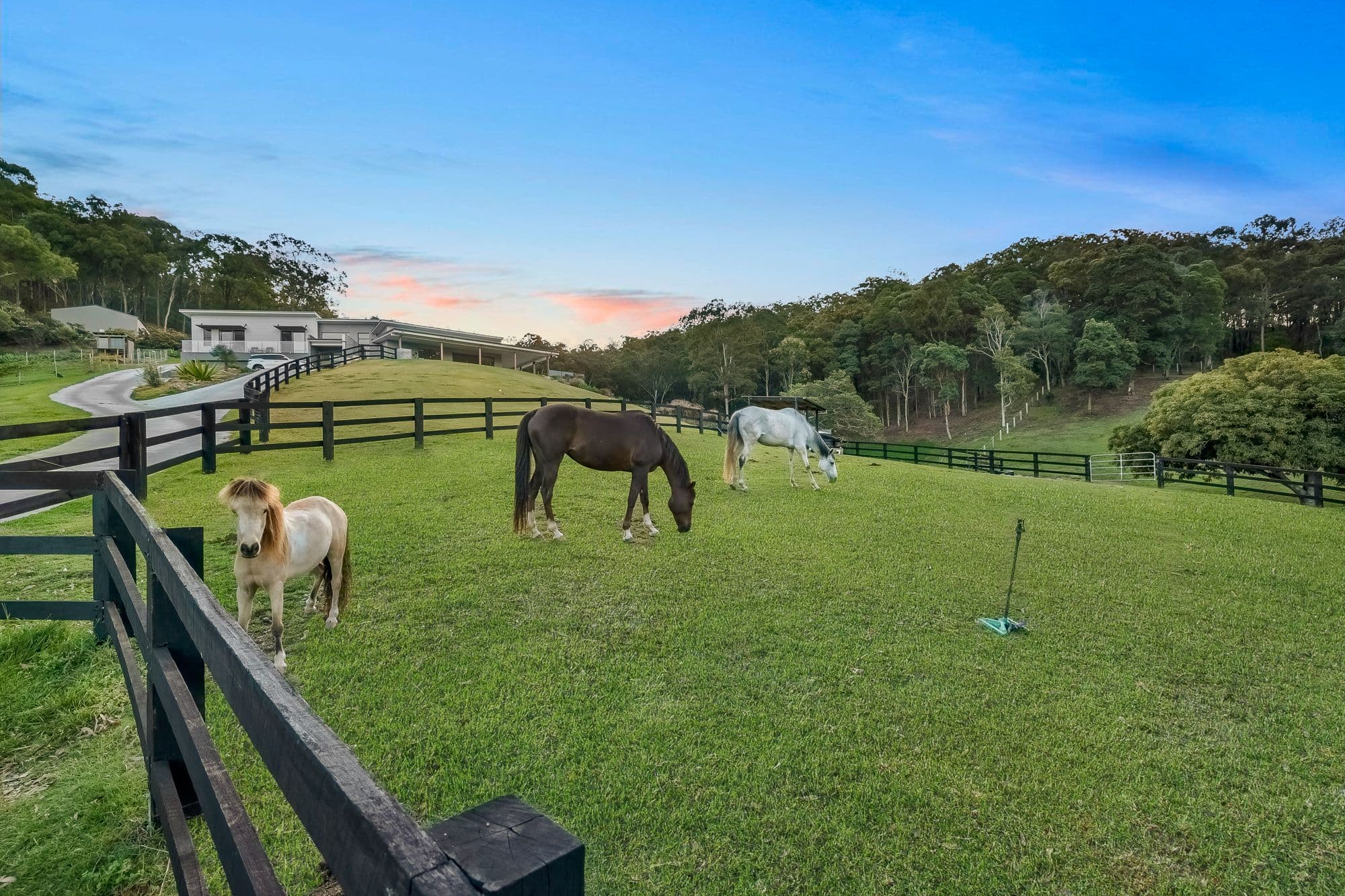 50 Proudlock Drive, Willow Vale QLD 4209, Willow Vale - Thumbnail 4