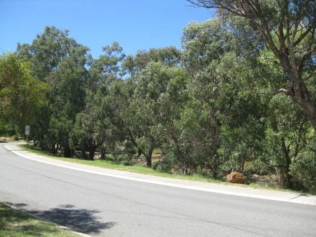 7 Wangalla Road, KOONGAMIA WA 6056, Koongamia - Thumbnail 8