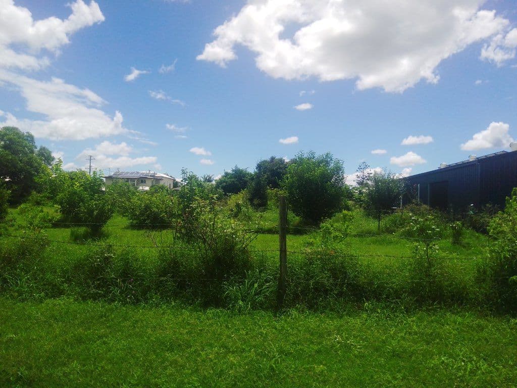 29 to 31 Walters Street, Lowood QLD 4311, Lowood - Thumbnail 4