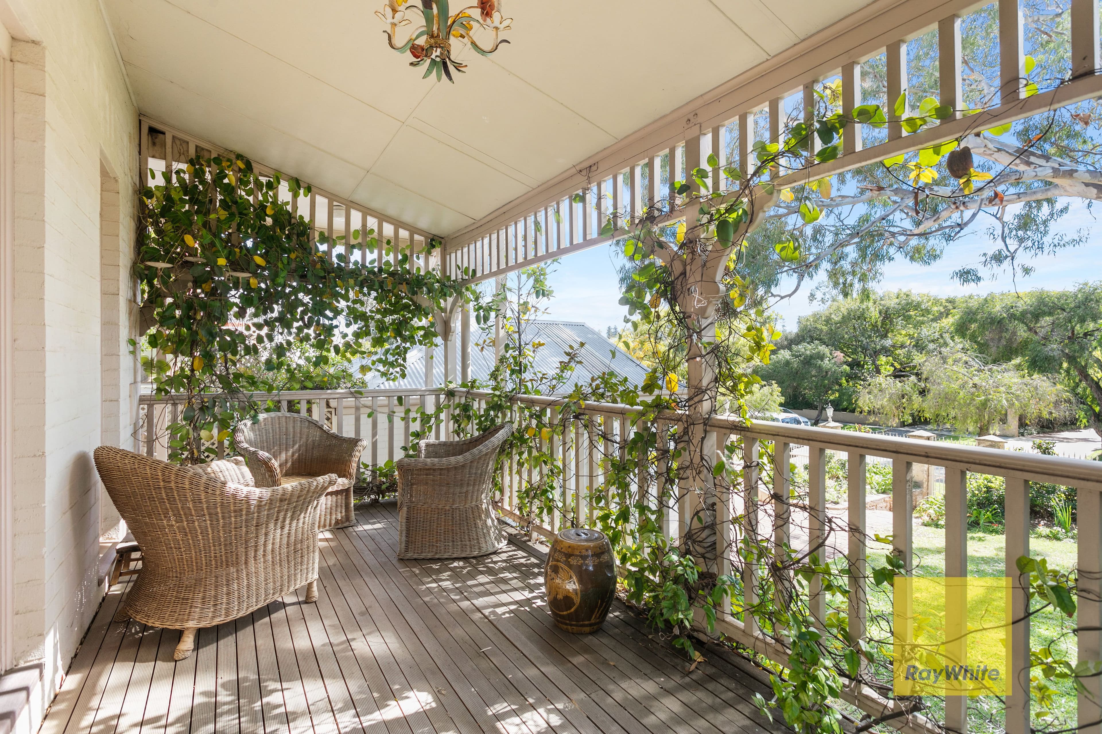 8 Irvine Street, Peppermint Grove WA 6011, Peppermint Grove - Thumbnail 6