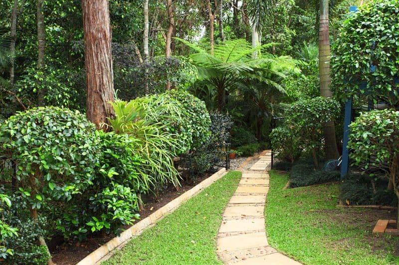 42 Arbour Street, BRIDGEMAN DOWNS QLD 4035, Bridgeman Downs - Thumbnail 5