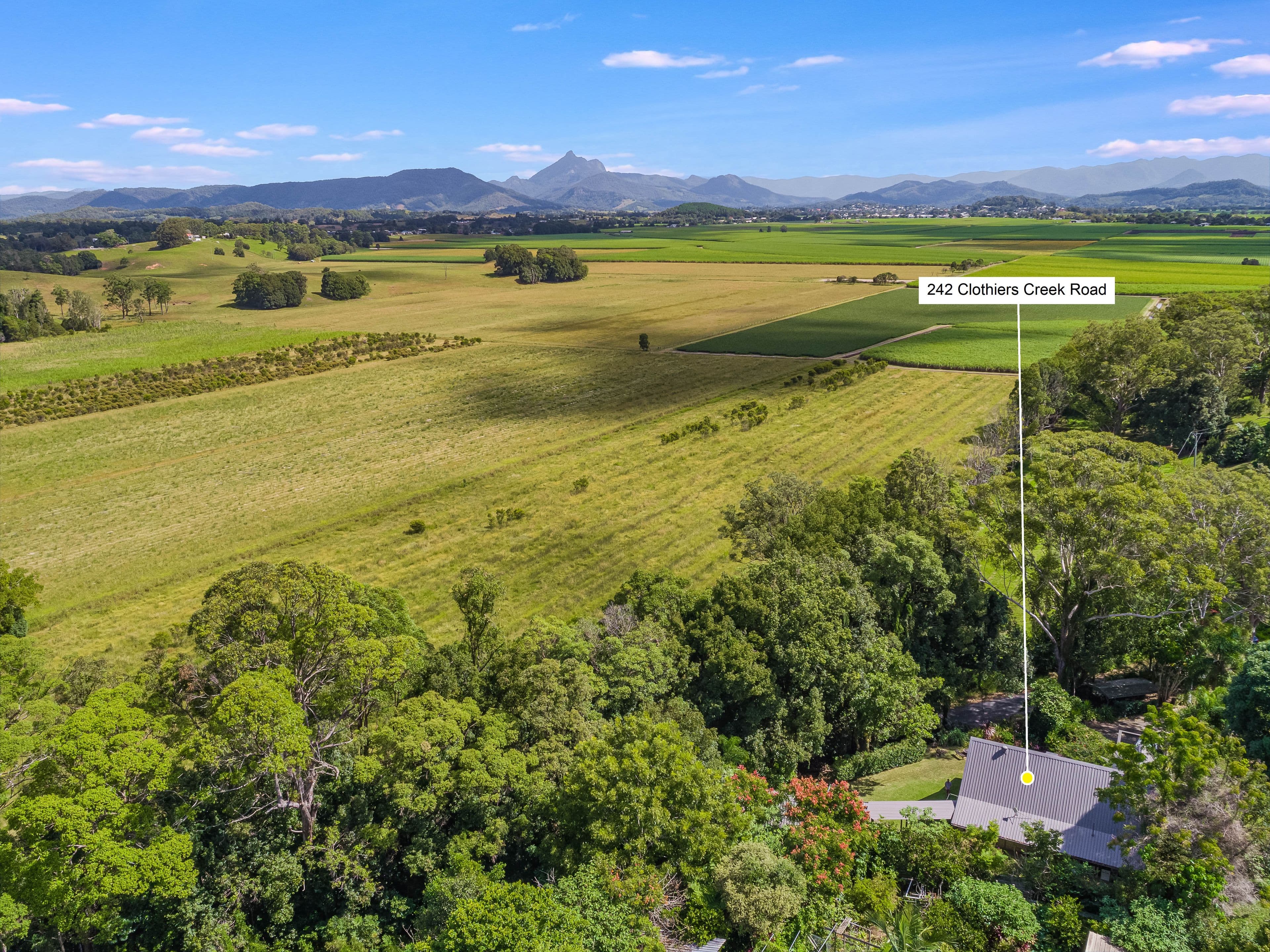 242 Clothiers Creek Road, Nunderi NSW 2484, Nunderi - Thumbnail 5