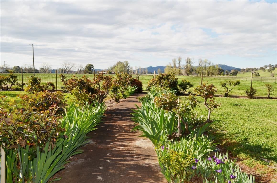 Bombowlee Avenue, Tumut - Thumbnail 7