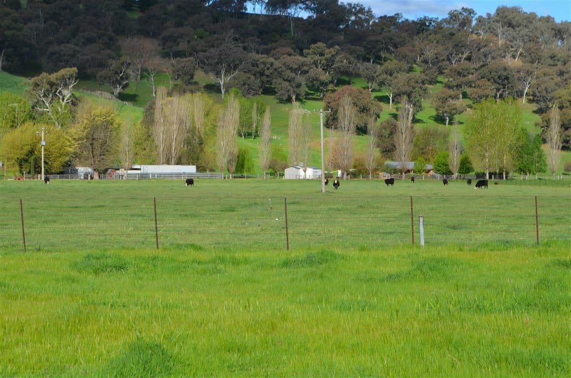 Bombowlee Avenue, Tumut - Thumbnail 8