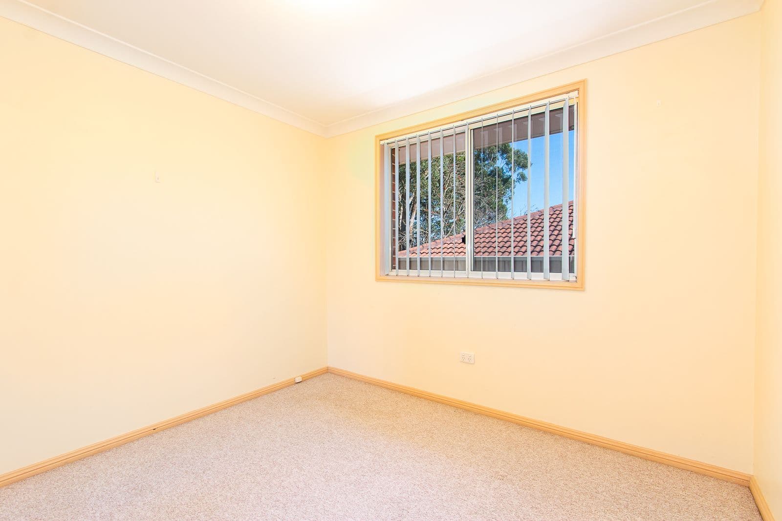 20 Madeleine Avenue, Charlestown - Thumbnail 6
