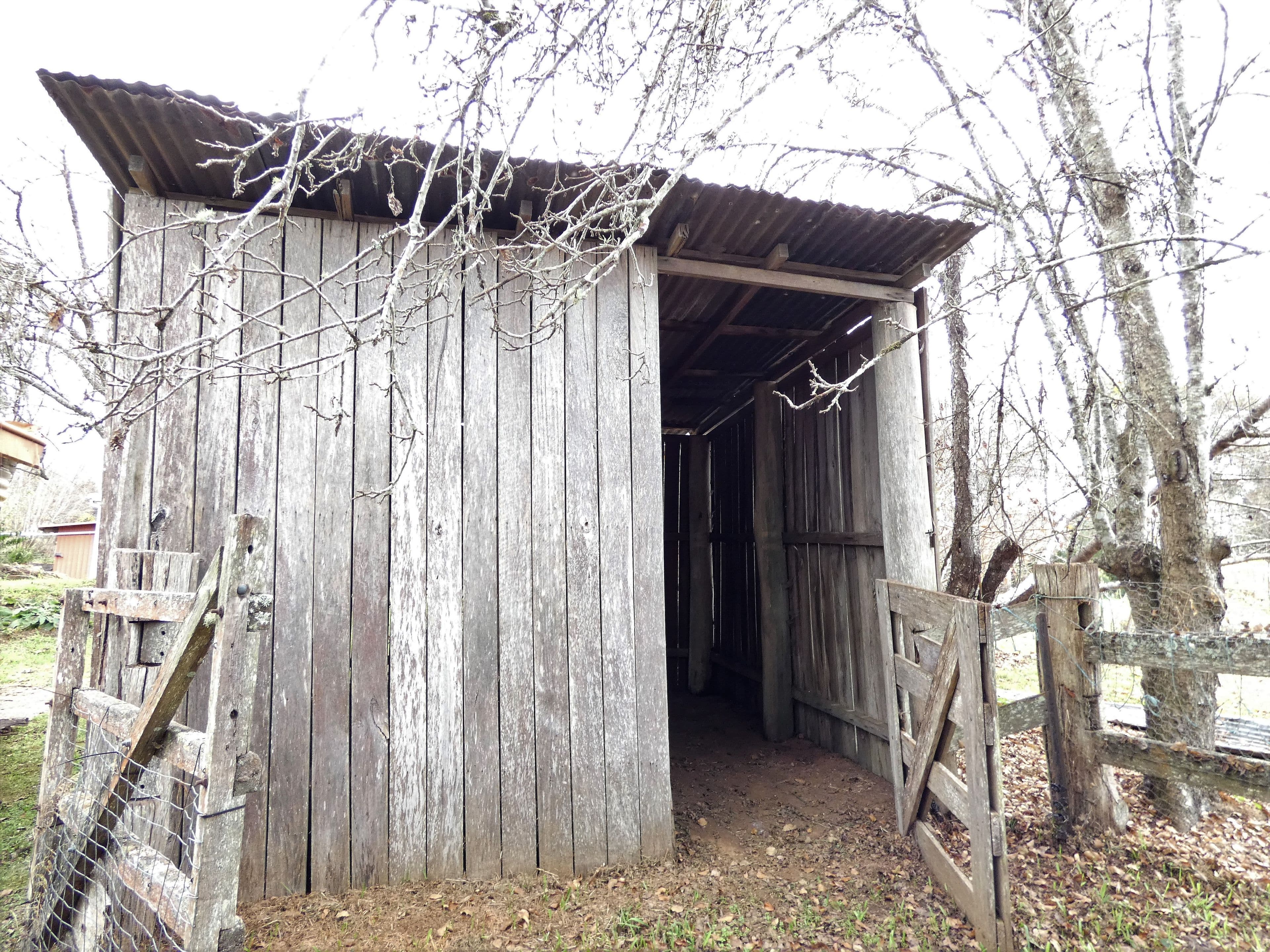 11 Cypress Street, Dorrigo - Thumbnail 5