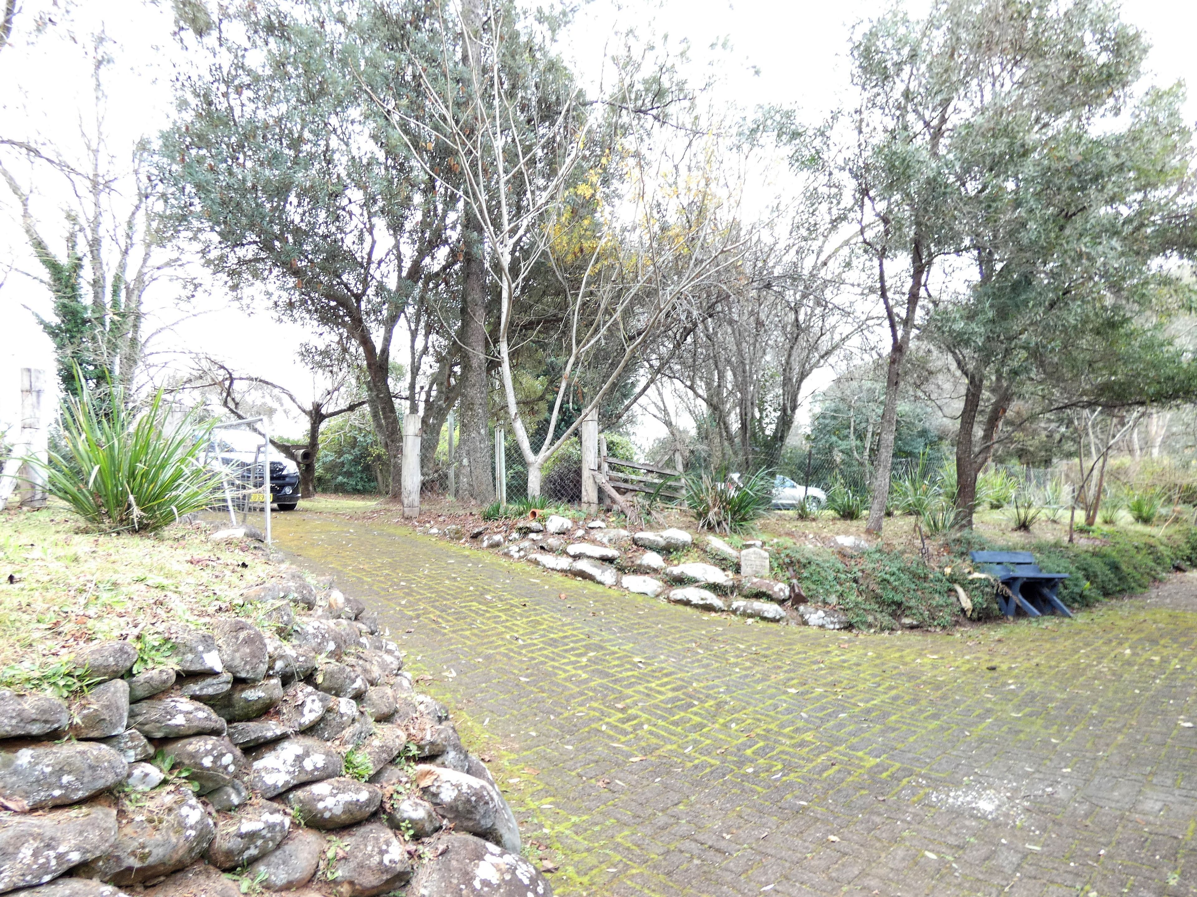 11 Cypress Street, Dorrigo - Thumbnail 6