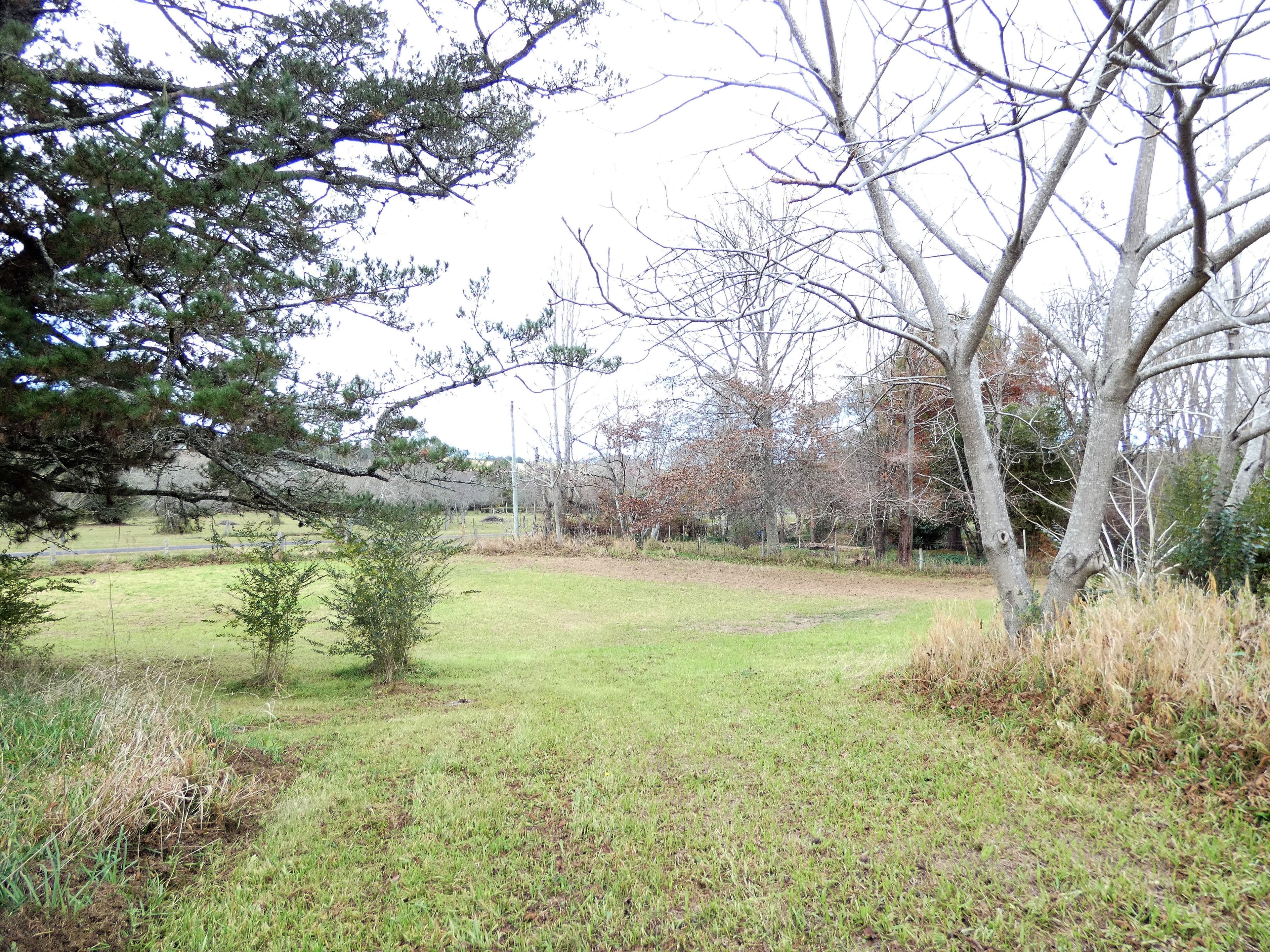 11 Cypress Street, Dorrigo - Thumbnail 7
