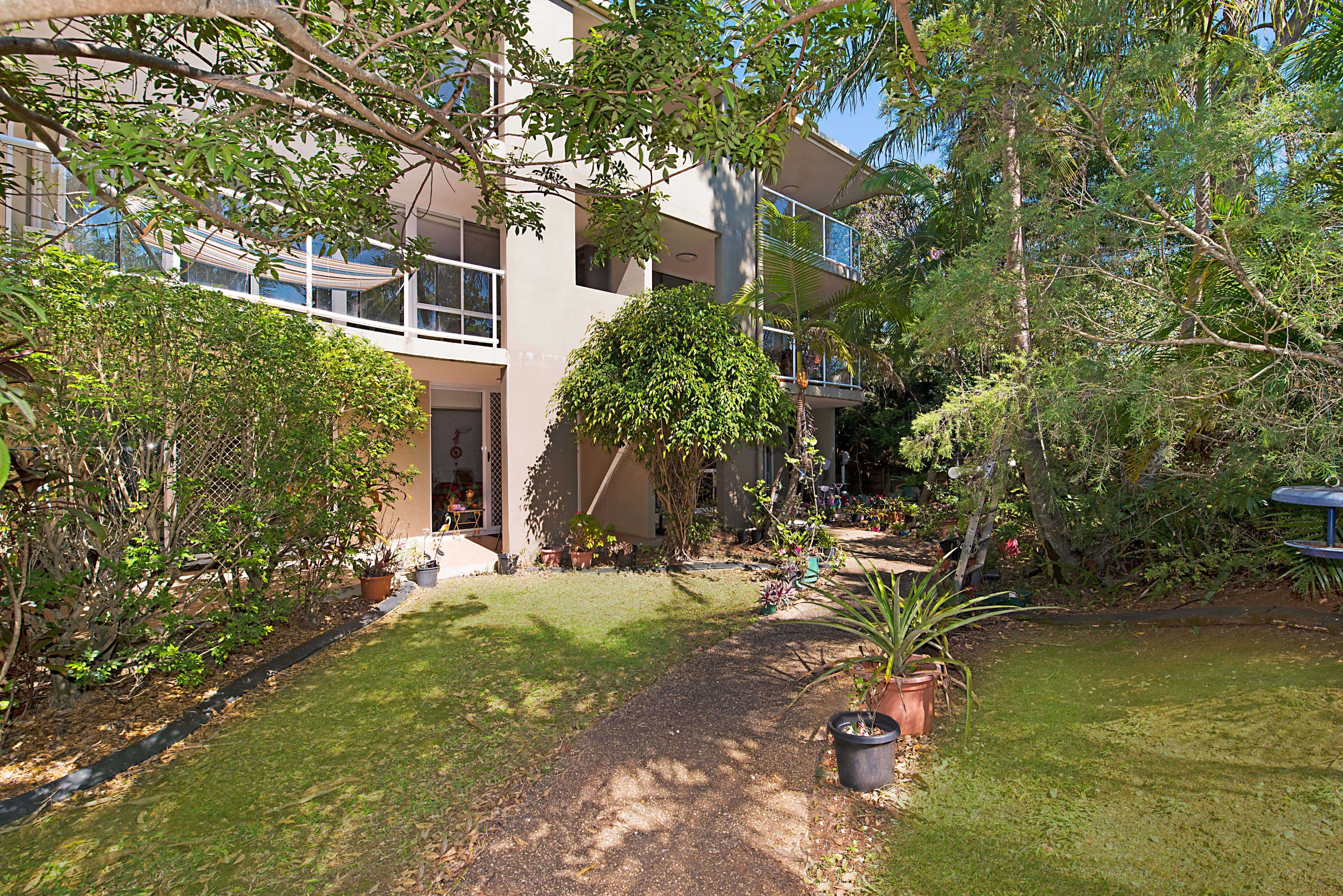 2 Box Street, Buderim QLD 4556, Buderim - Thumbnail 2