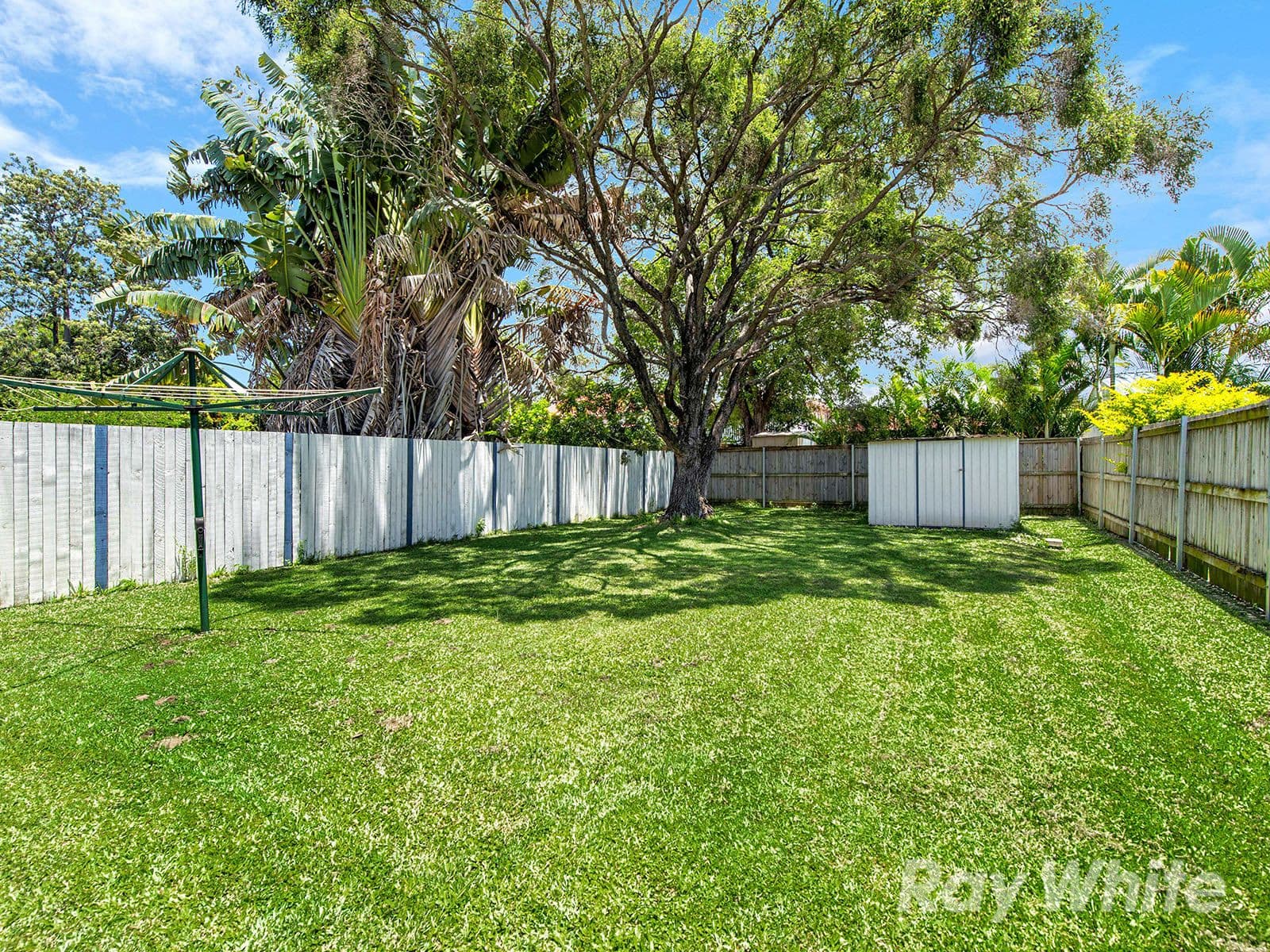 36 Walter Street, Virginia QLD 4014, Virginia - Thumbnail 2