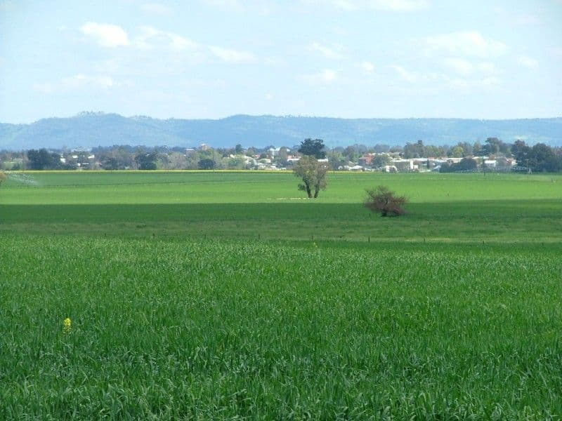 Lots 5 & 6 Kangaroo Flat Road, COWRA NSW 2794, Cowra - Image 1