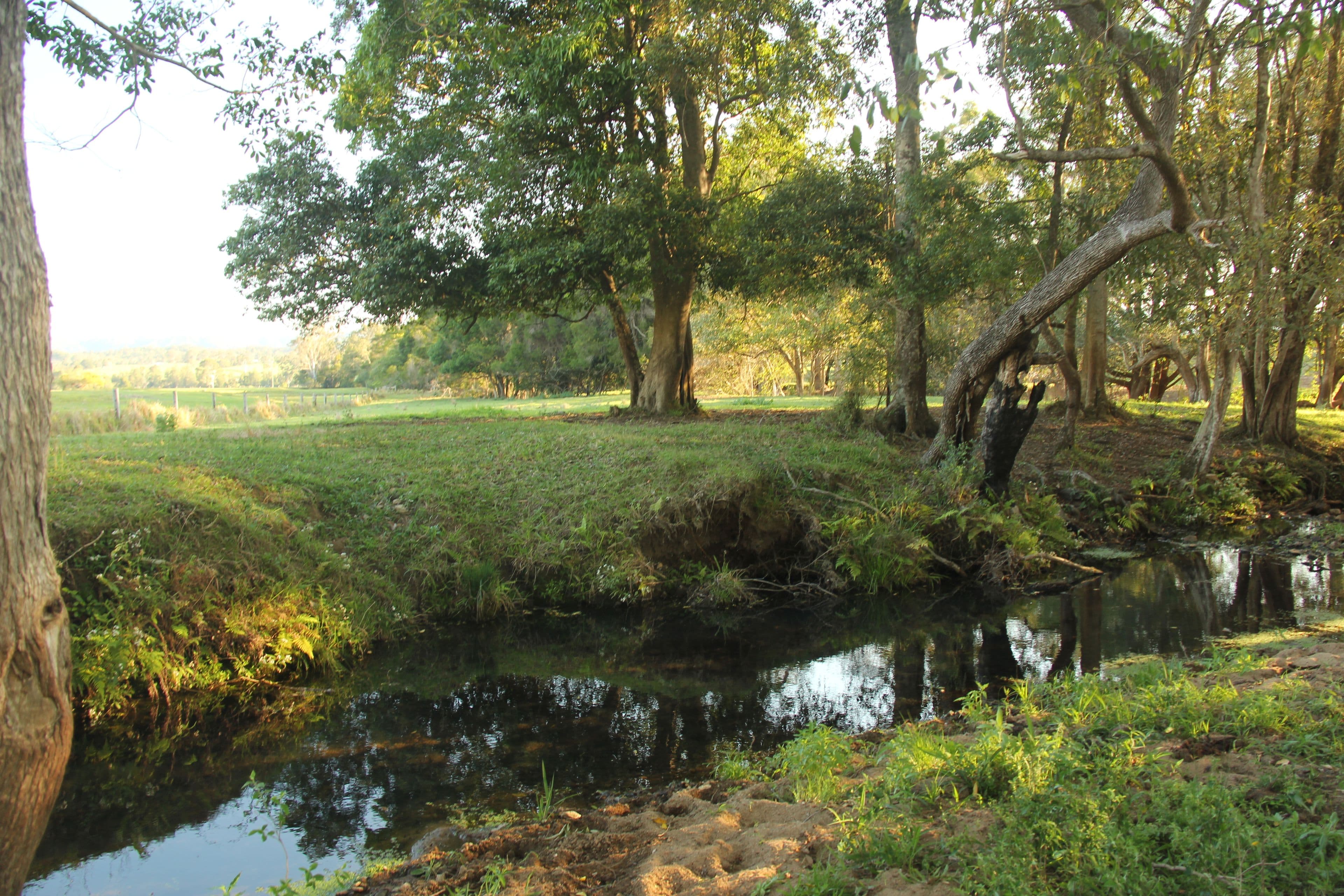 Lot 140 Cookes Road, Conondale QLD 4552, Conondale - Thumbnail 4