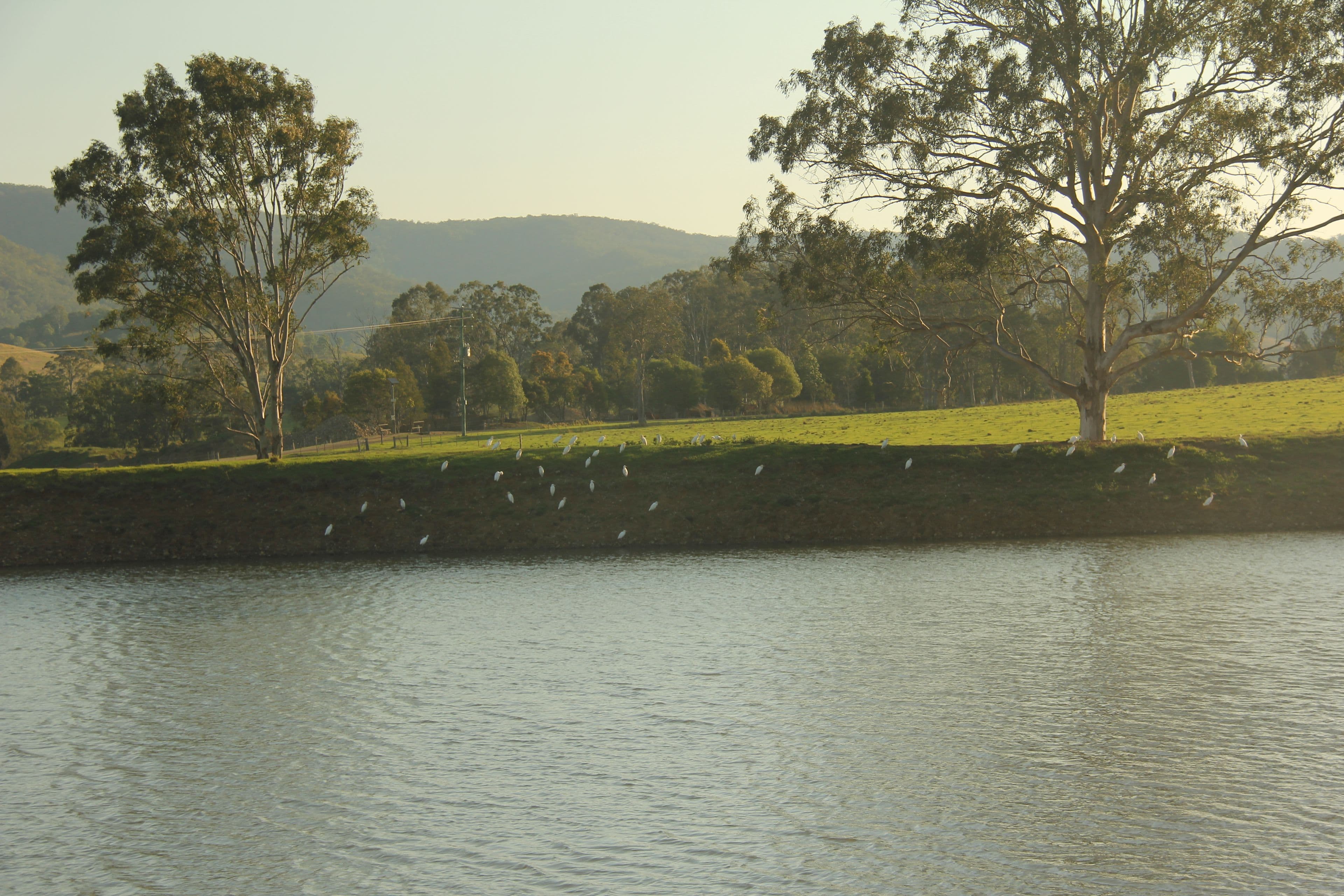 Lot 140 Cookes Road, Conondale QLD 4552, Conondale - Thumbnail 5