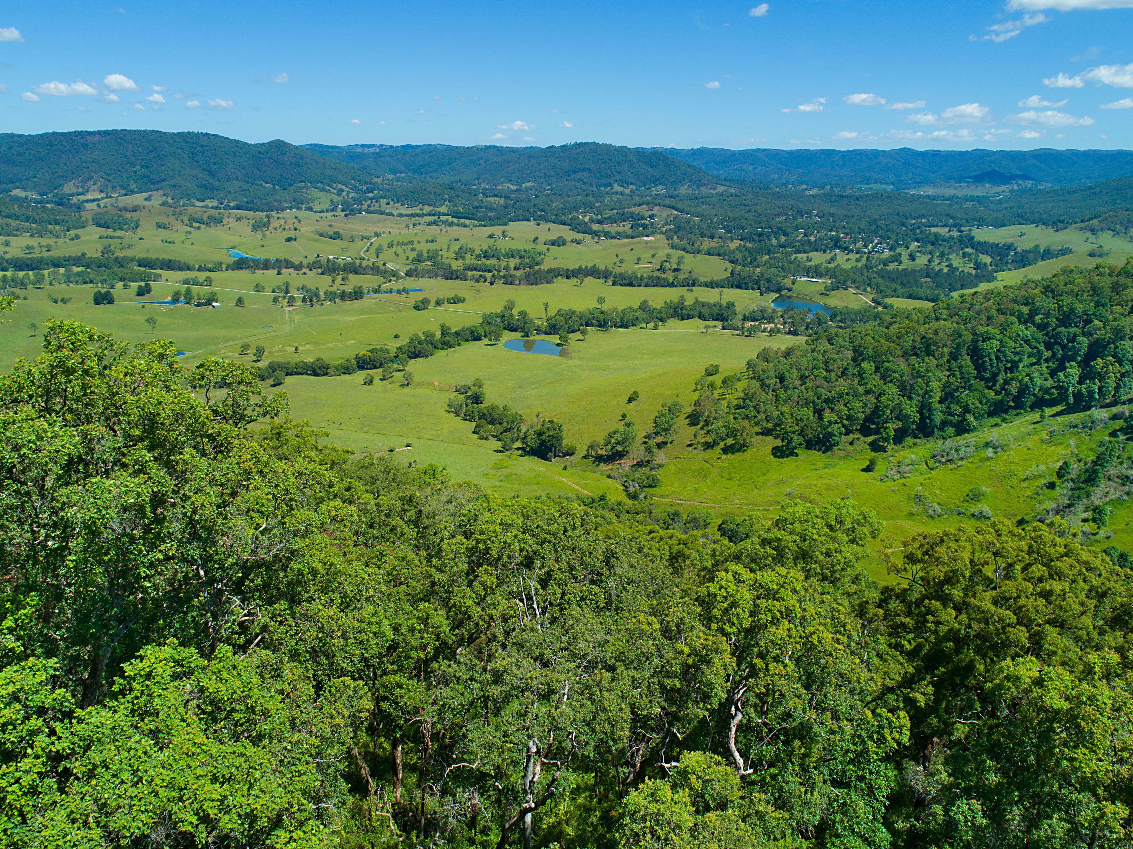Lot 140 Cookes Road, Conondale QLD 4552, Conondale - Thumbnail 8