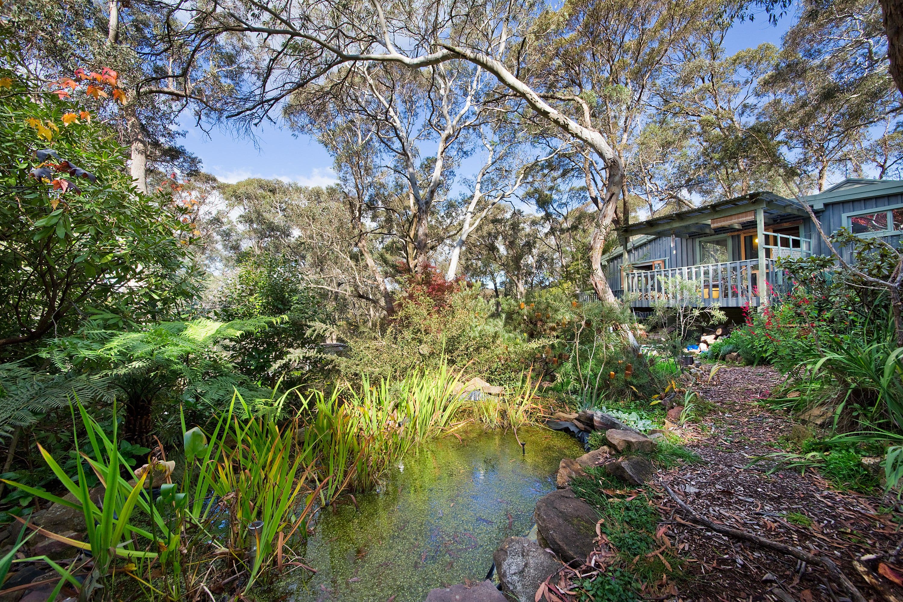 8-10 Dell Street, Blackheath NSW 2785, Blackheath - Thumbnail 2