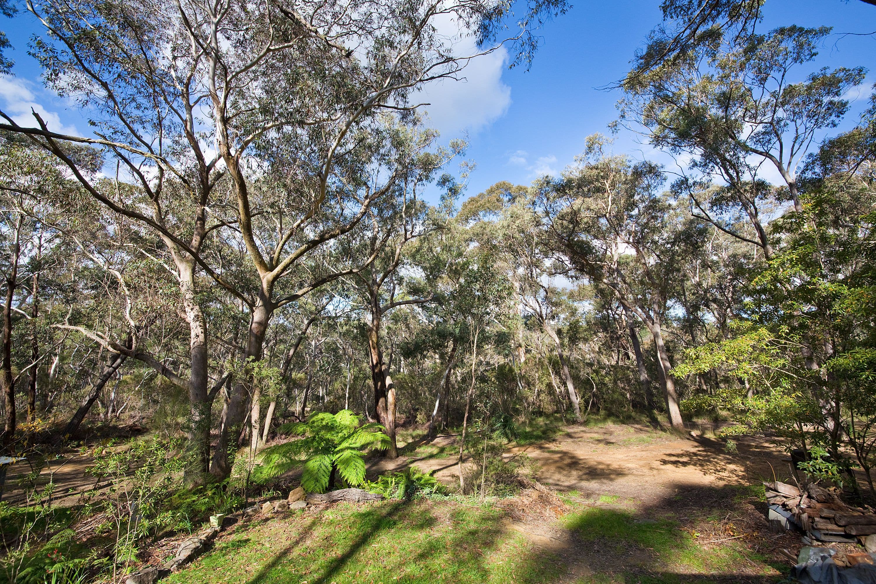 8-10 Dell Street, Blackheath NSW 2785, Blackheath - Thumbnail 7