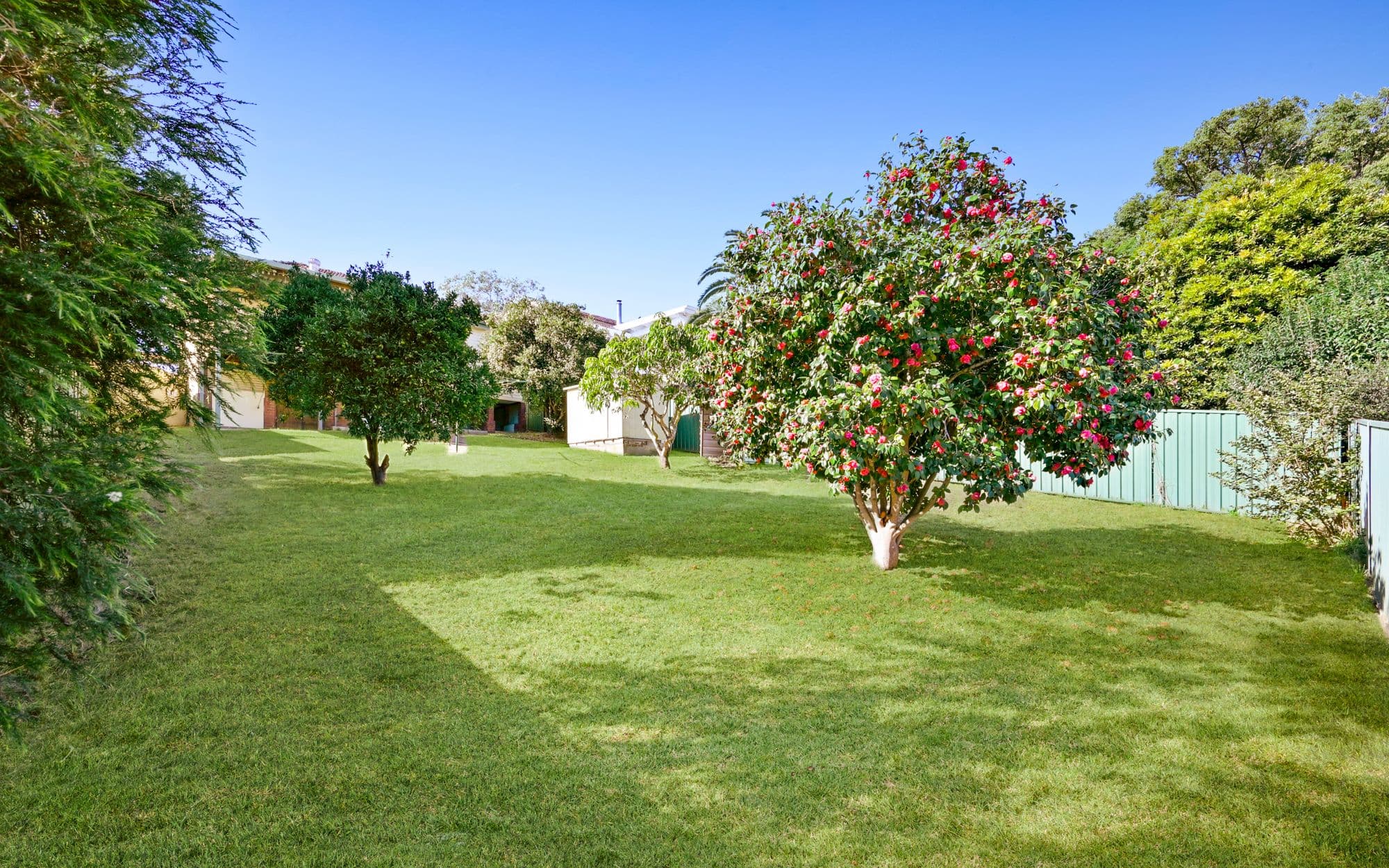 27 Colonial Street, Campbelltown NSW 2560, Campbelltown - Thumbnail 4