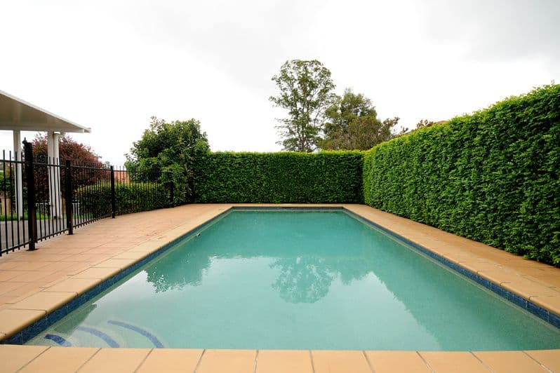 8 Grasmere Court, Mount Lofty QLD 4350, Mount Lofty - Thumbnail 7