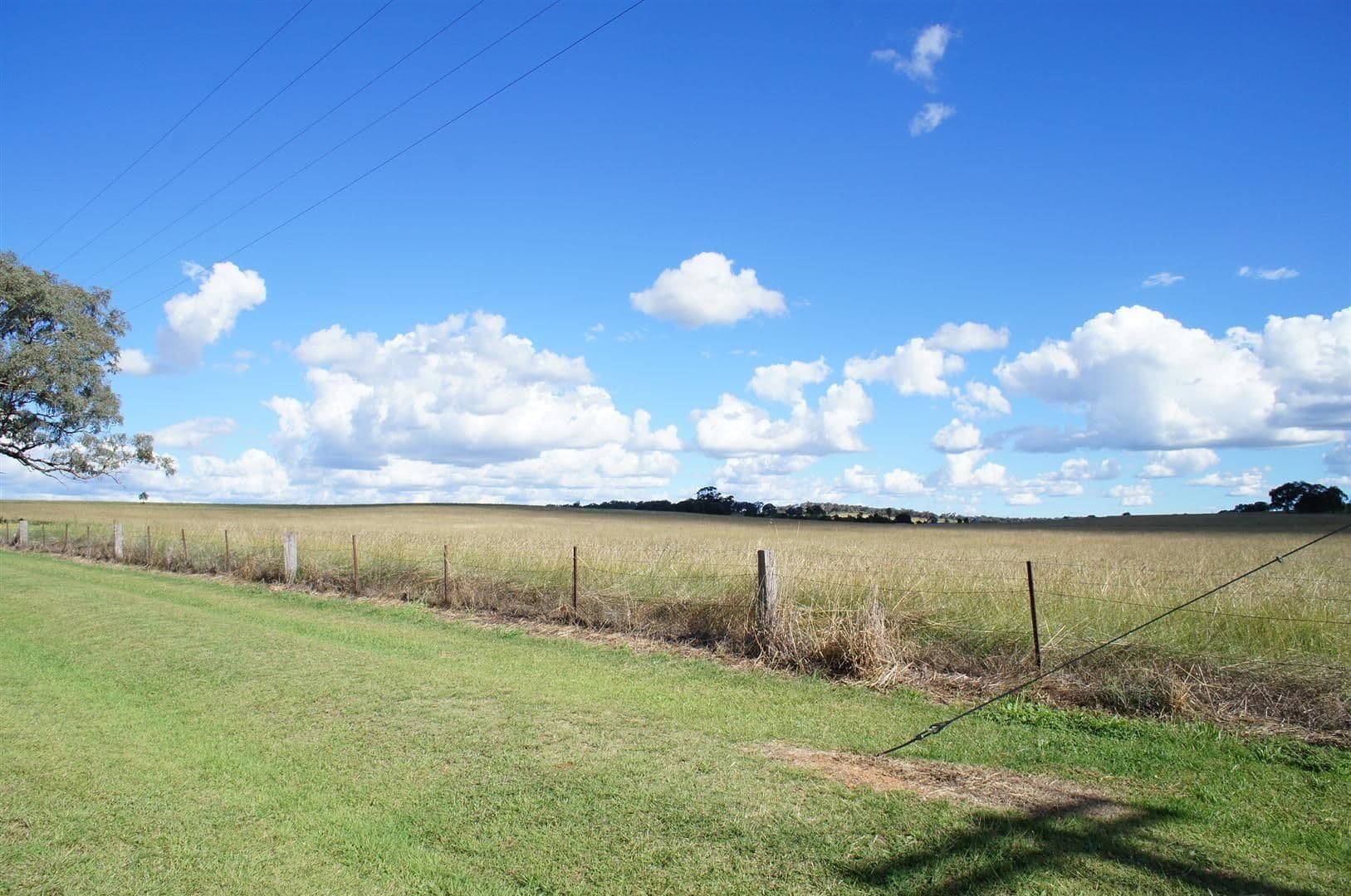 0 Eurimbla Road, CUMNOCK NSW 2867, Cumnock - Image 1