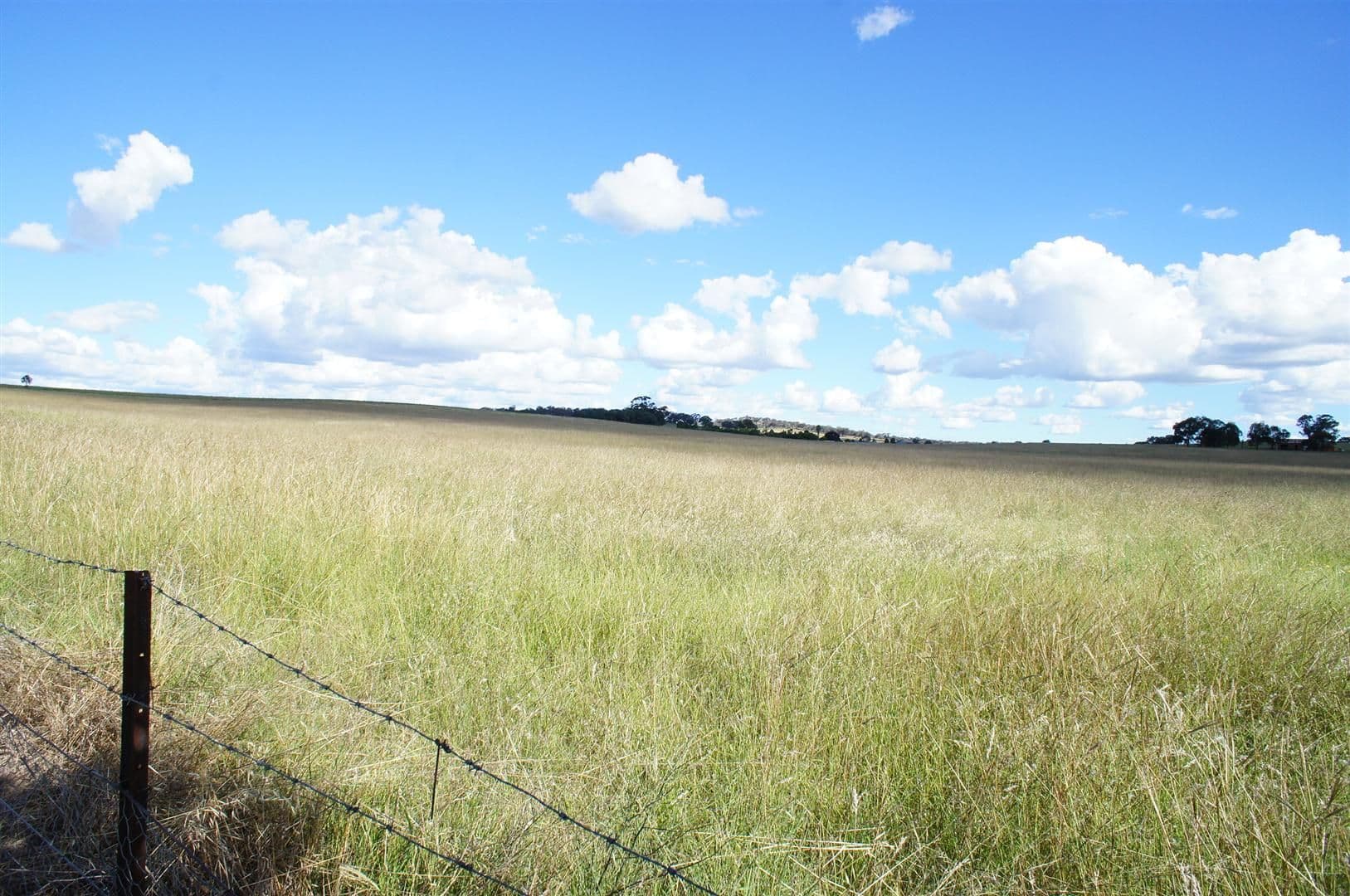 0 Eurimbla Road, CUMNOCK NSW 2867, Cumnock - Thumbnail 2