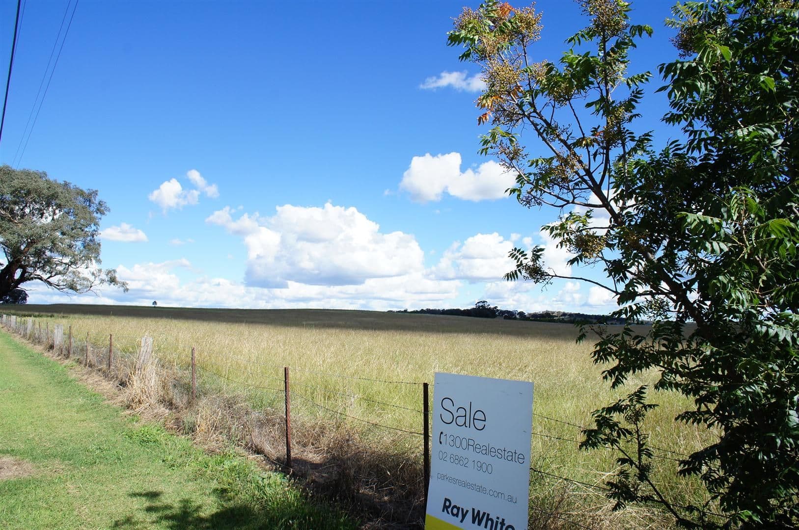 0 Eurimbla Road, CUMNOCK NSW 2867, Cumnock - Thumbnail 3