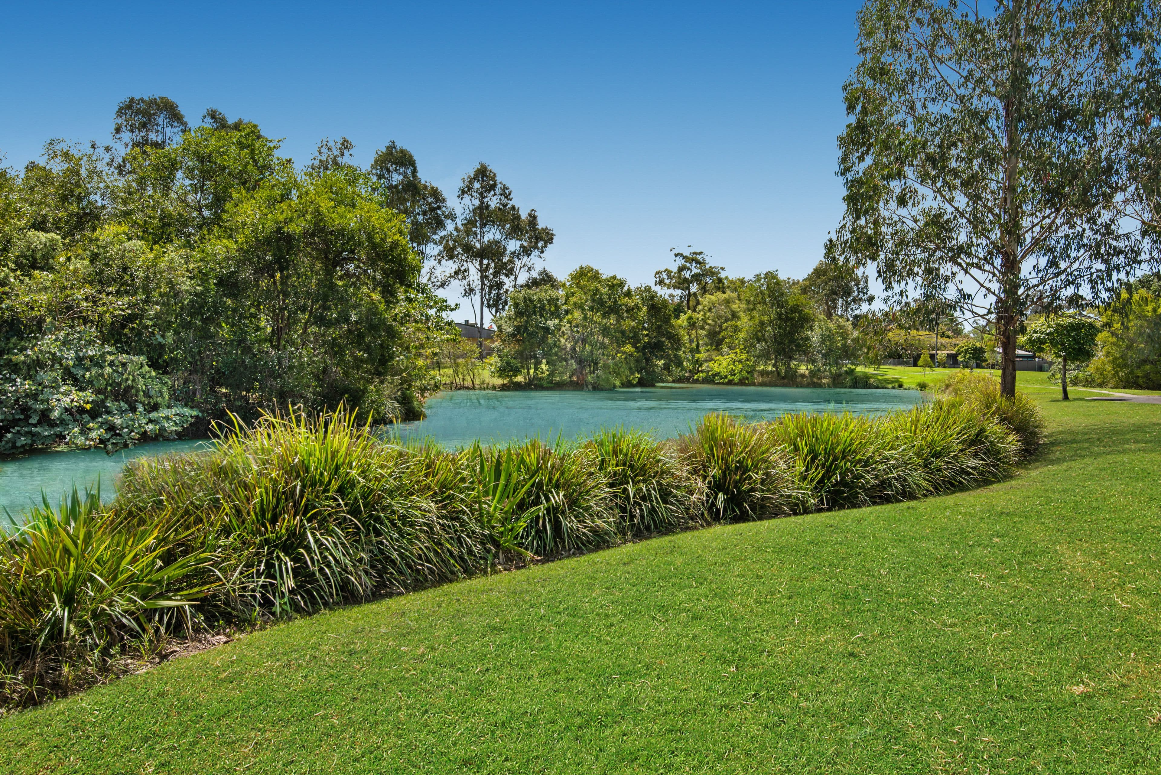 4 Brand Place, Mooloolah Valley QLD 4553, Mooloolah Valley - Thumbnail 2