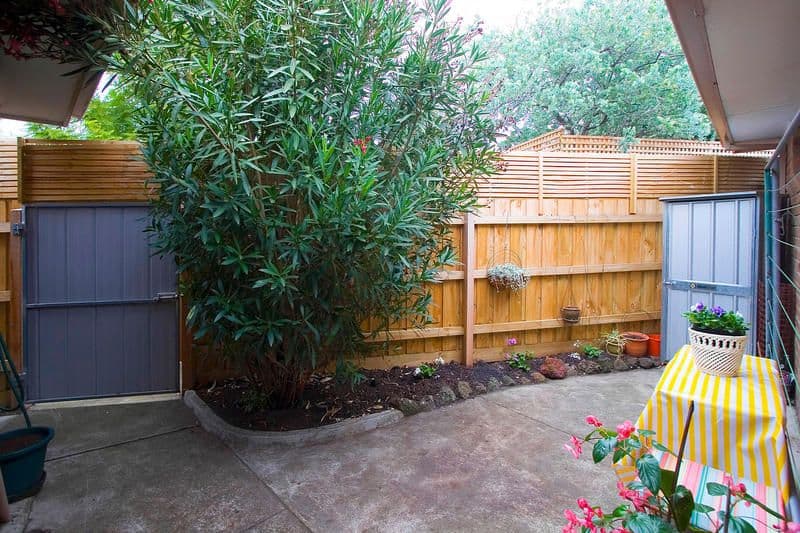 12 Jack Road, CHELTENHAM VIC 3192, Cheltenham - Thumbnail 5