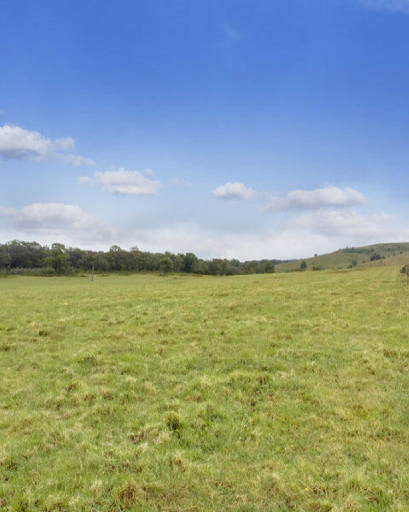 Lot 6 'Wanganderry East' Wombeyan Caves Road High Range, Range - Thumbnail 2